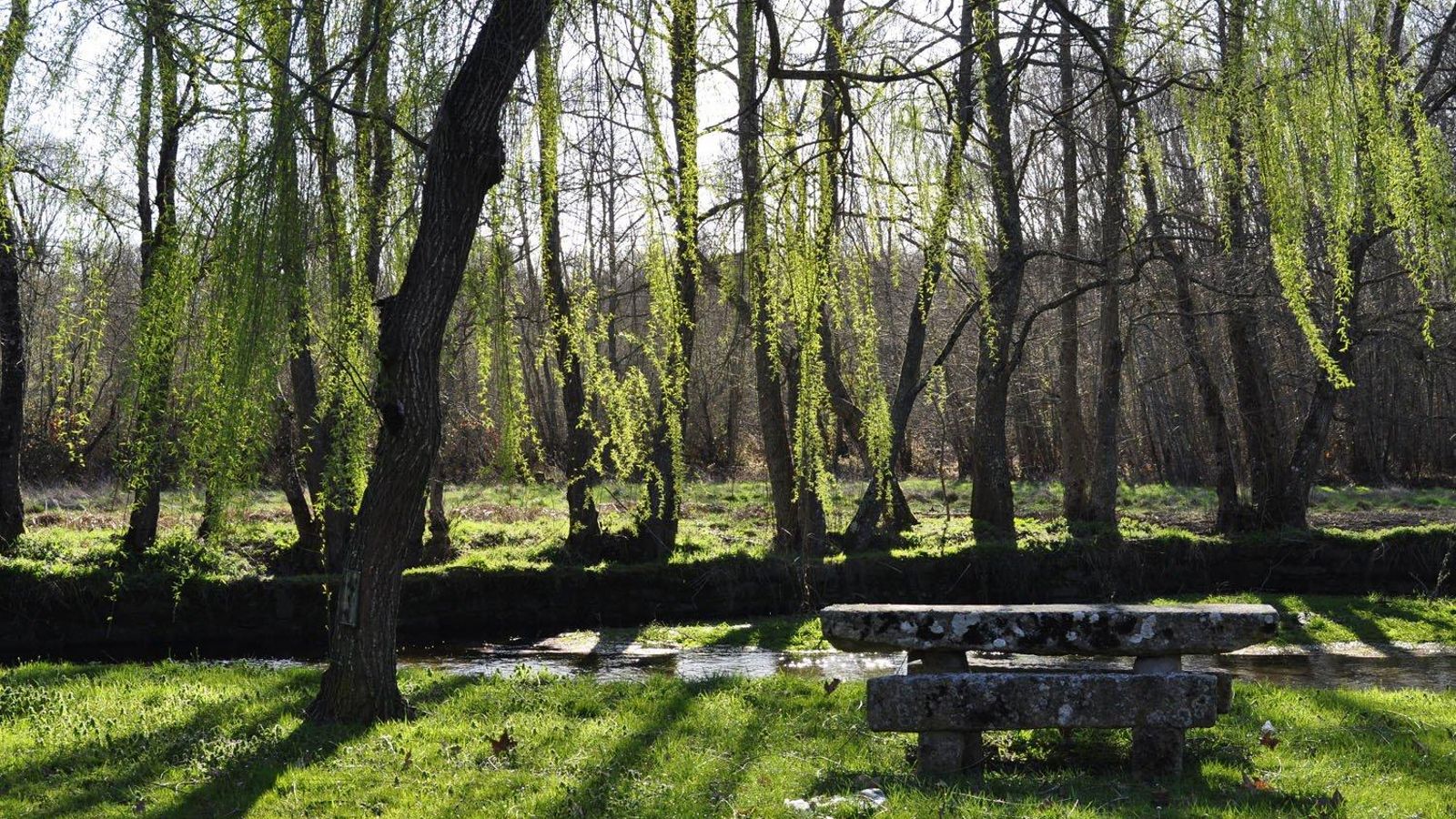 Merendero de Loñoá