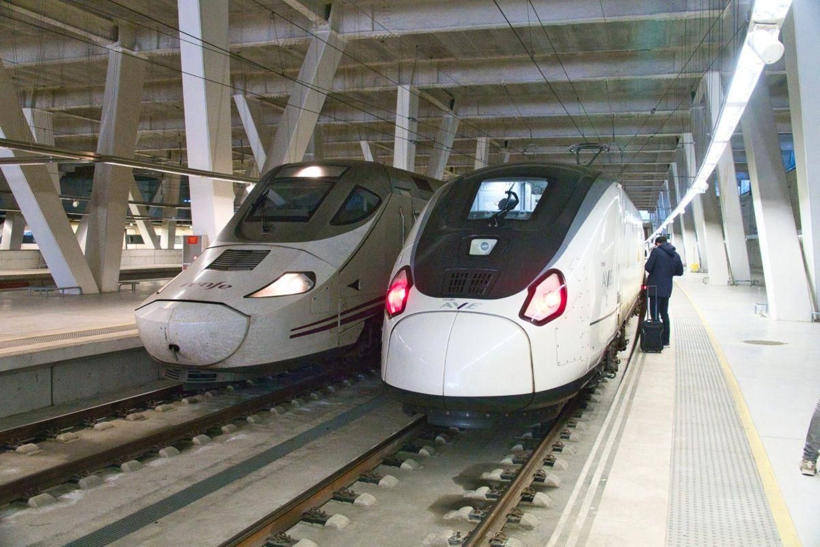 Dos trenes, modelo S-121 y S-106, estacionados en la estación de Urzaiz
