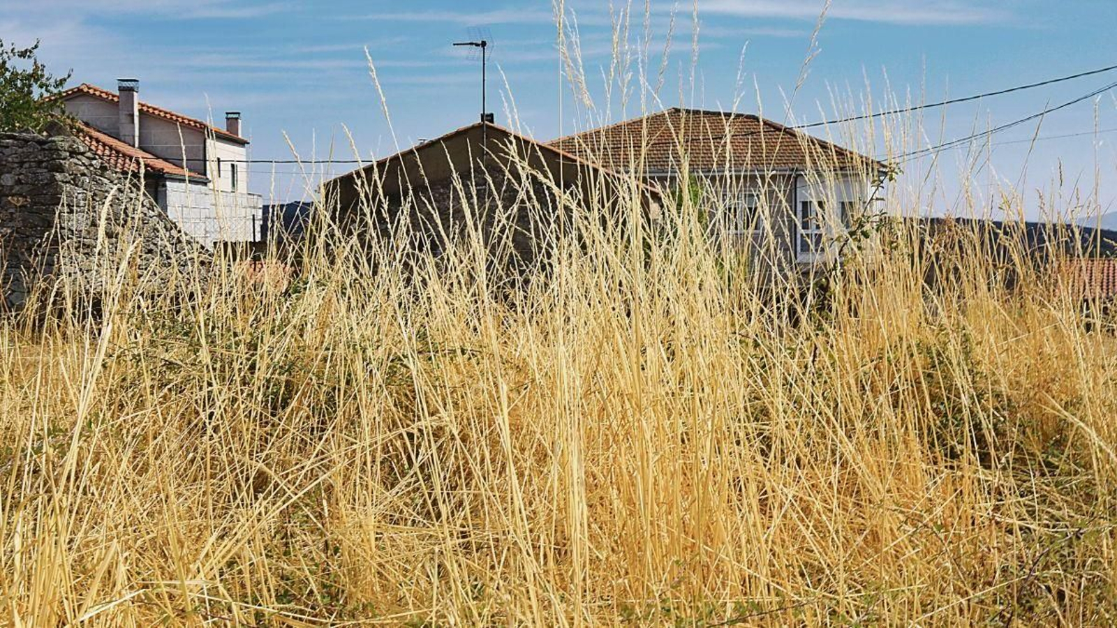 Una finca sin desbrozar próxima a casas, un peligro en el caso de incendios, como se pudo presenciar el verano pasado.