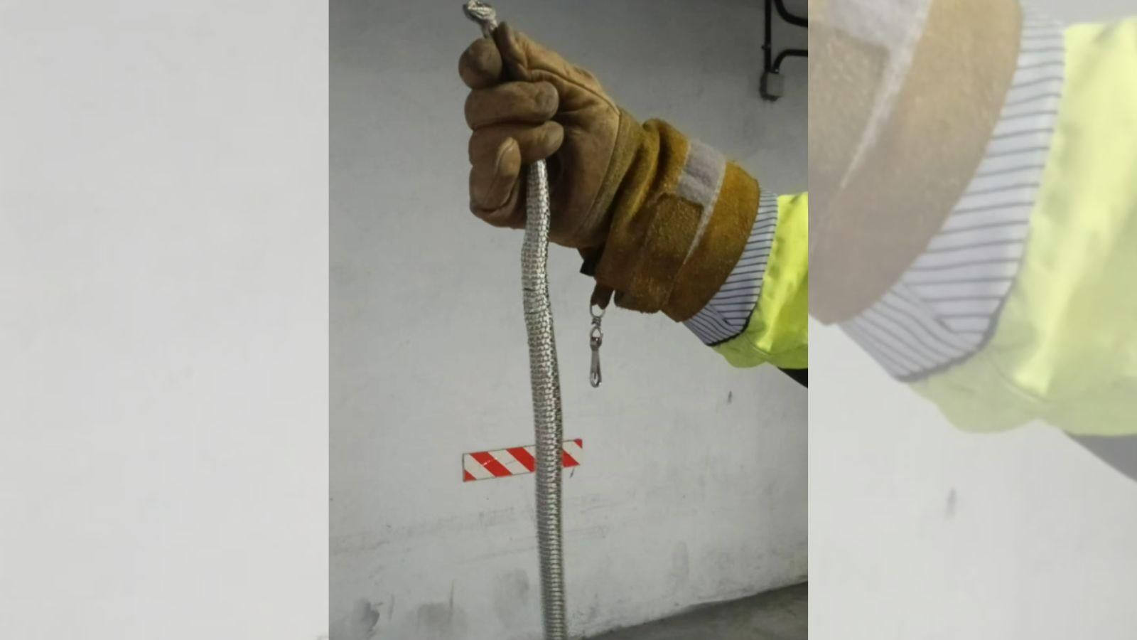 Serpiente retirada por Protección Civil en un garaje de A Valenzá, en Barbadás, antes de ser liberada en una zona forestal.