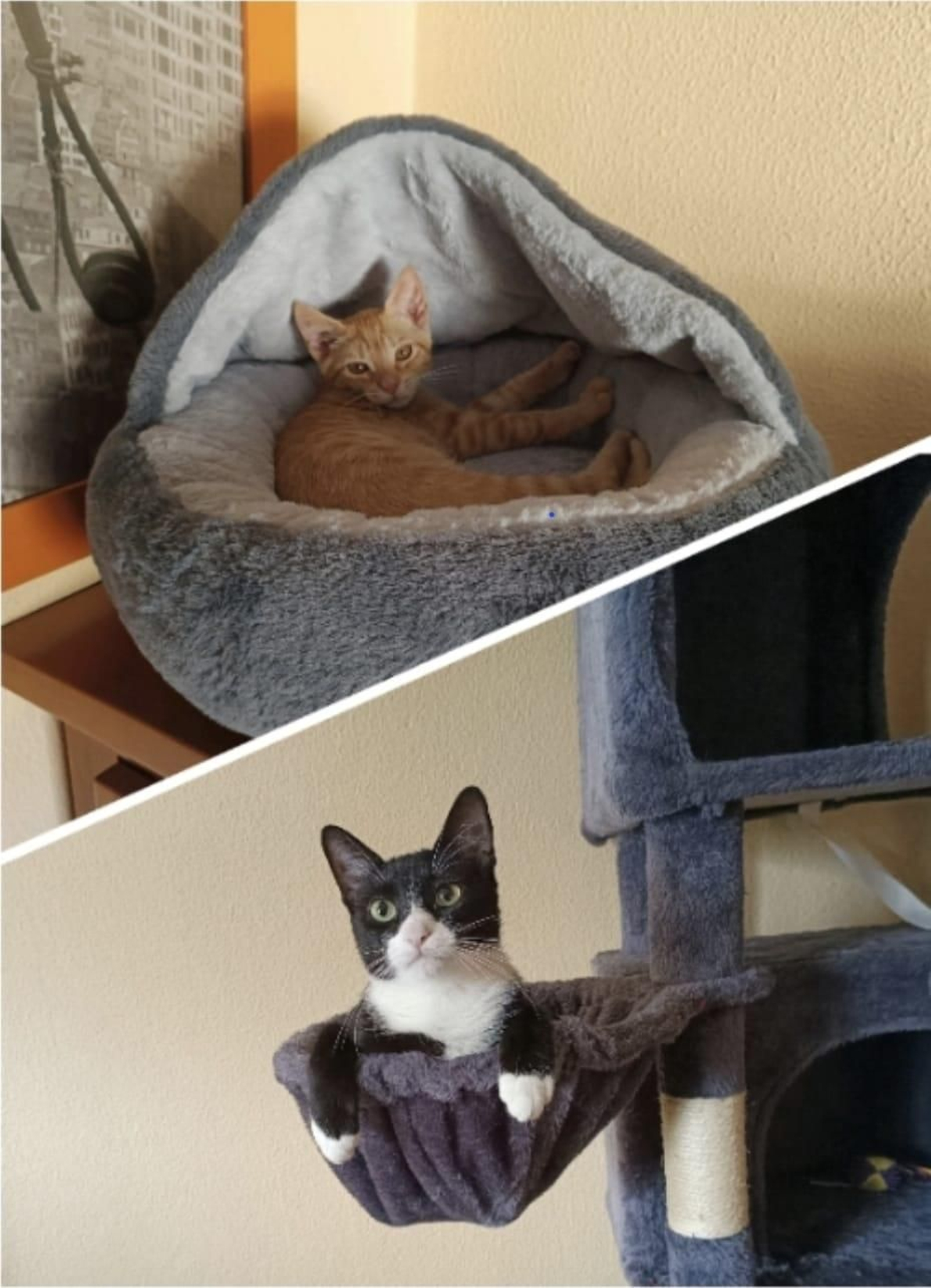Kira y Lola