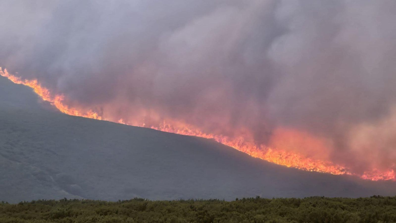 Incendio próximo a la estación de montaña de Manzaneda