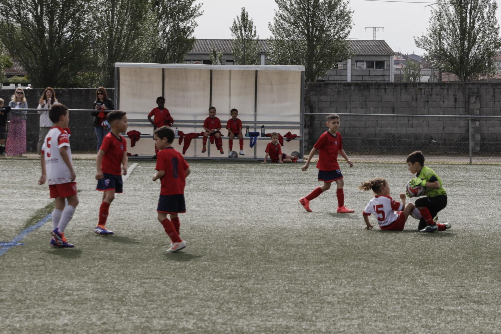 Galería | La fase intermedia del Campeonato Gallego de Fútbol 8 aterriza en Xinzo de Limia