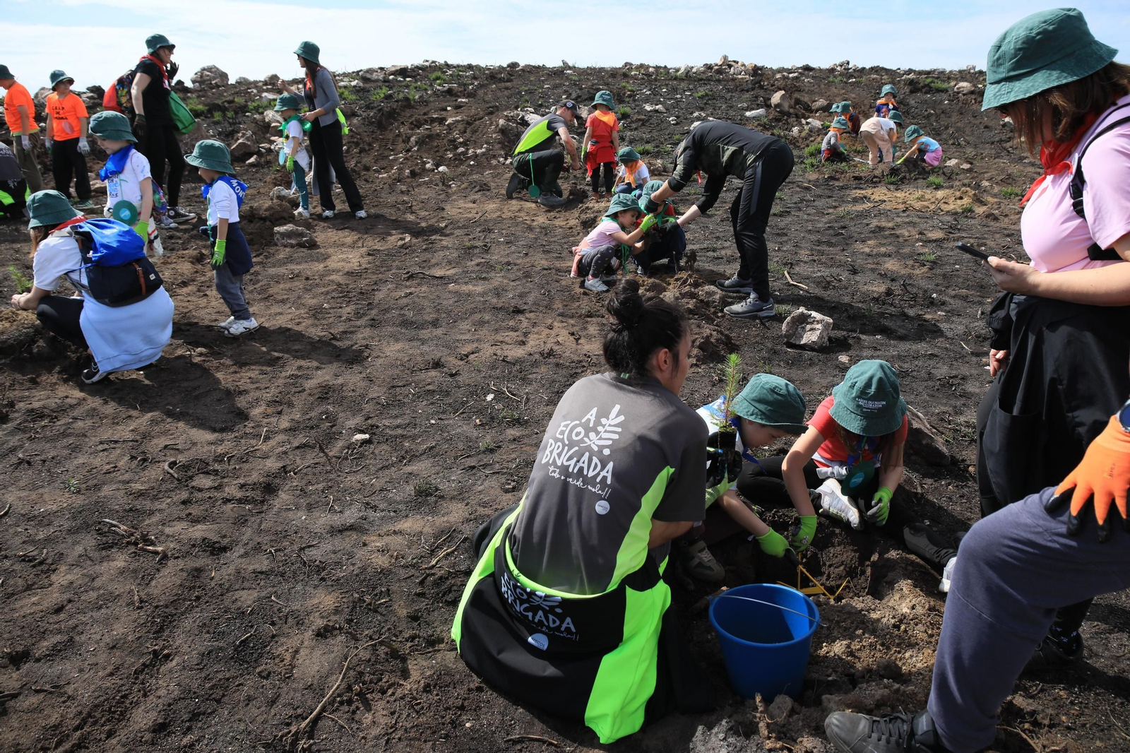 Galería | Numerosos niños reforestan A Caridade tras los incendios del pasado agosto
