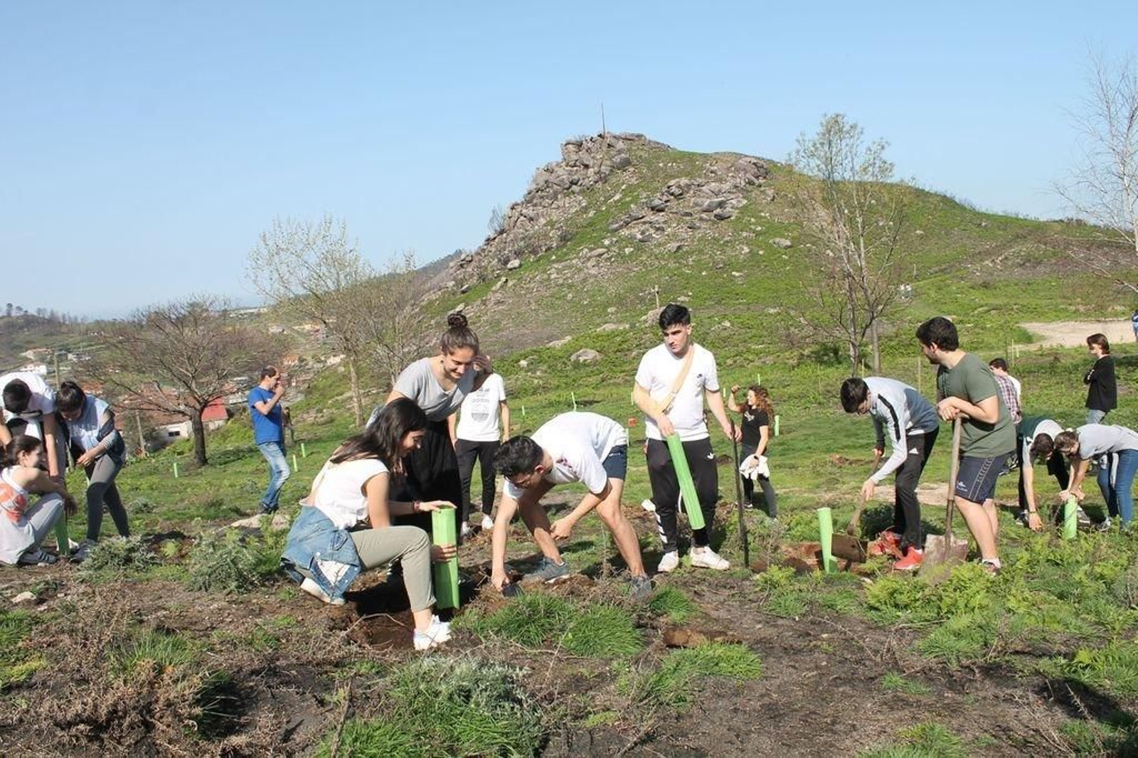 Alumnos de primero y segundo de bachillerato del colegio Salesianos de Vigo, plantando castaños en Chandebrito, ayer.