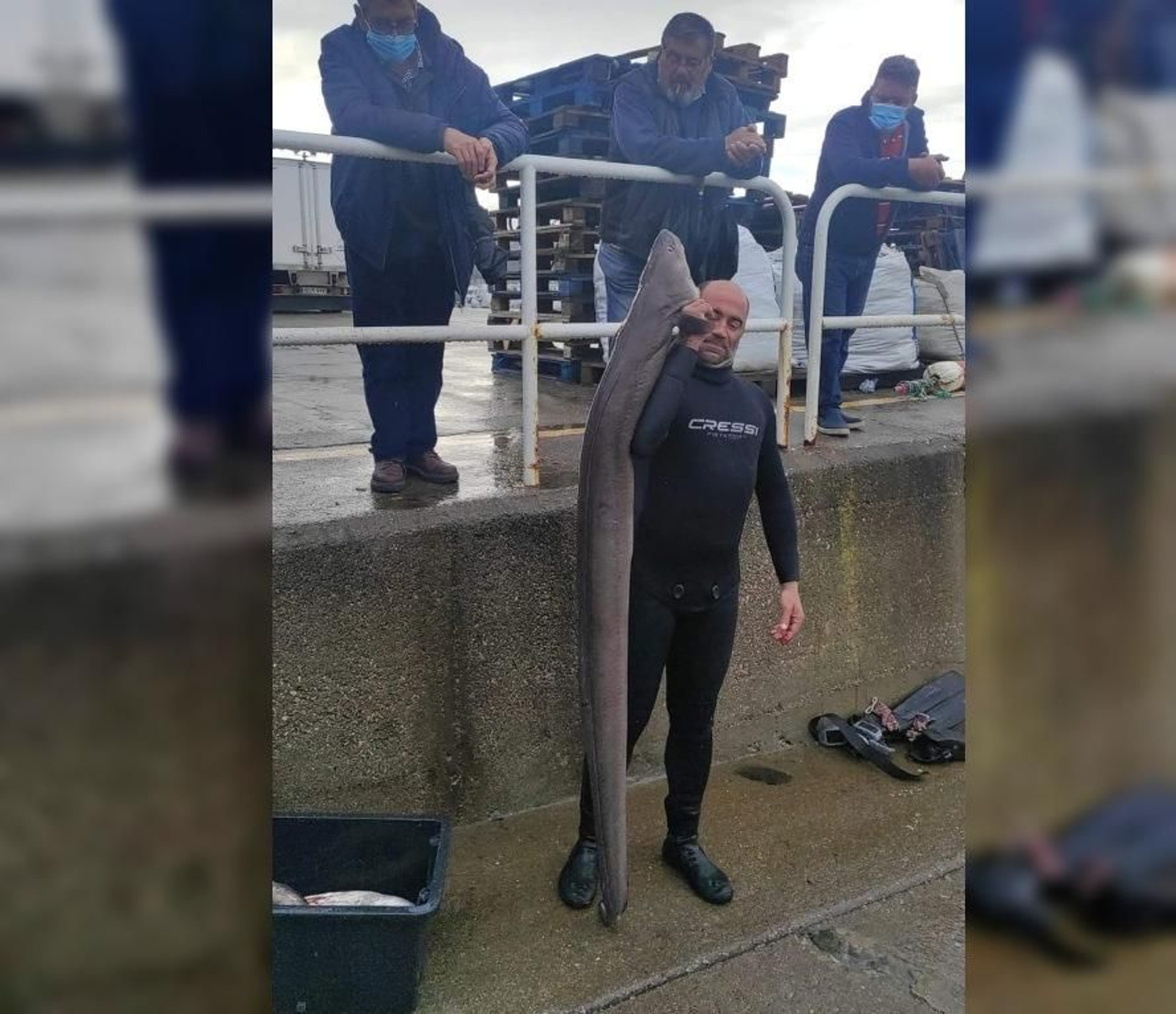 Congrio capturado en Bueu.