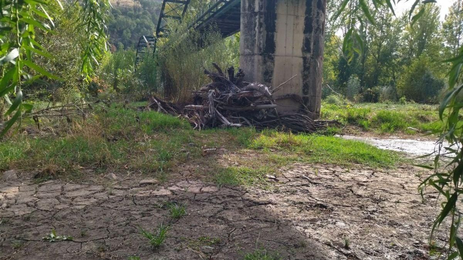 El estado del río