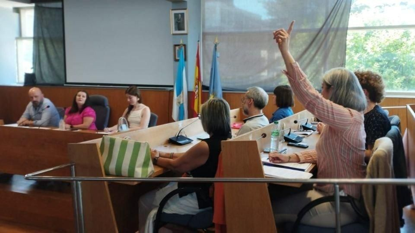 Victoria Portas levantando la mano en la abstención.