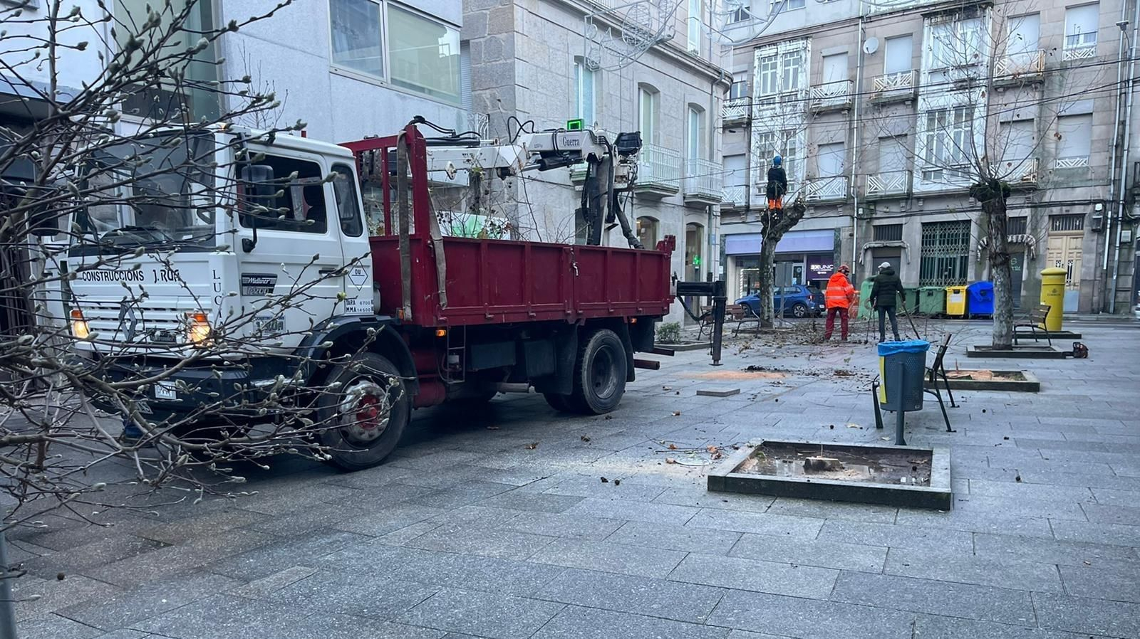 Los operarios trabajan en la poda de árboles de Xoán XXIII.