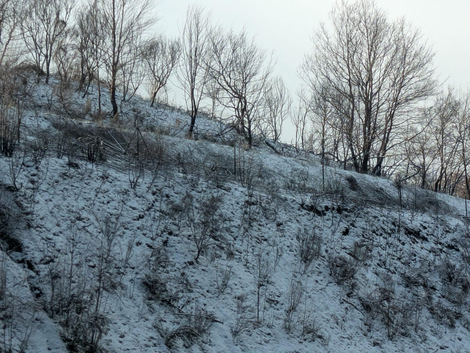 Zonas de Ourense dominadas por las bajas temperaturas