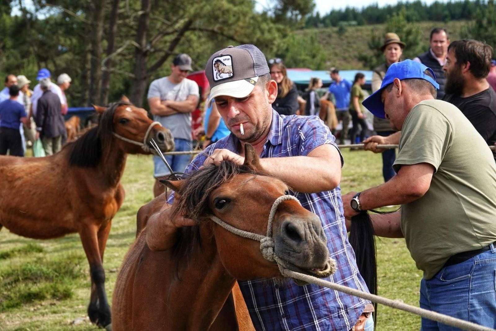 photo_2022-06-05_23-33-56