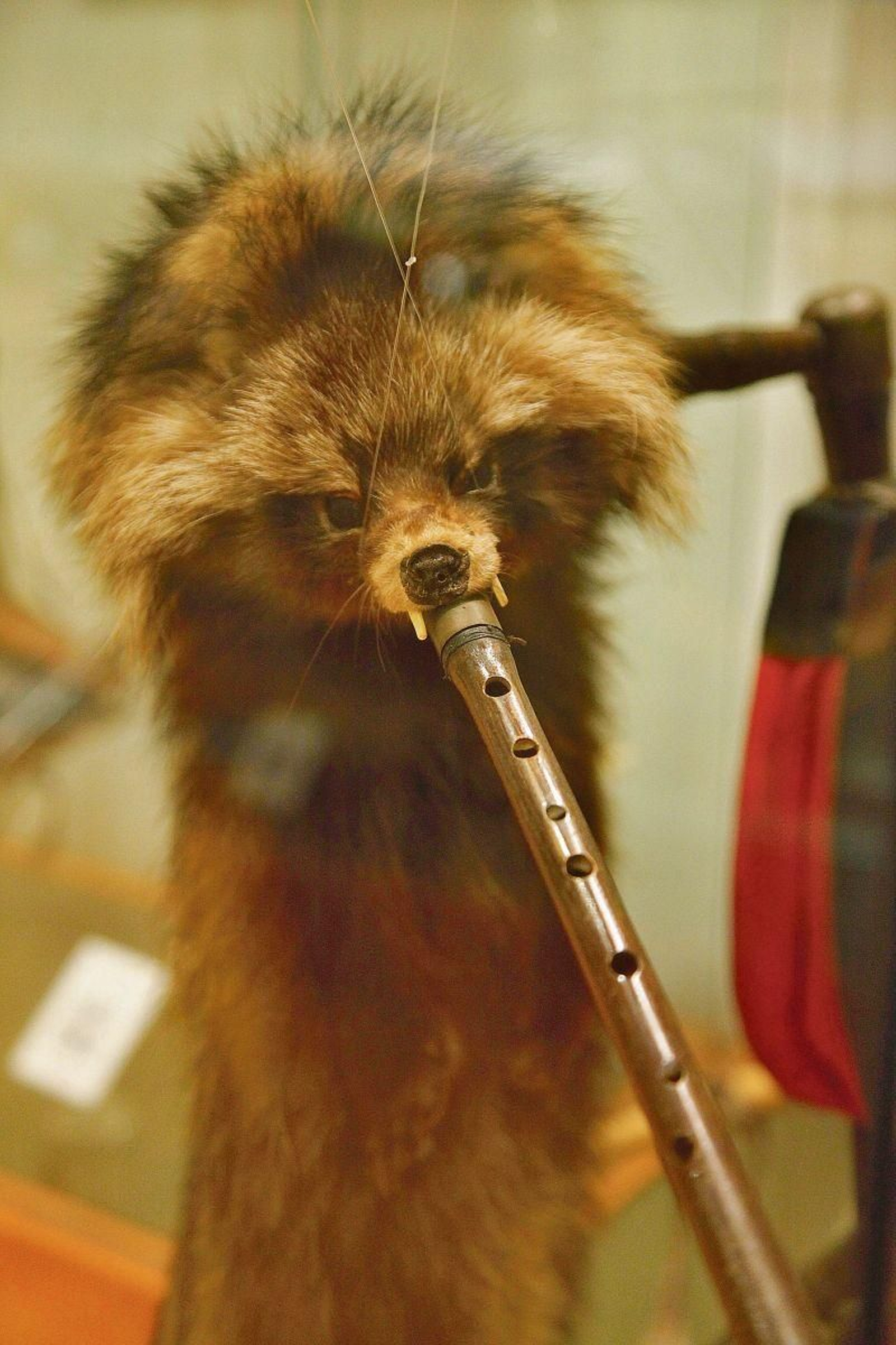 Este instrumento de piel de zorro procede de Estonia y se llama Toruppill.