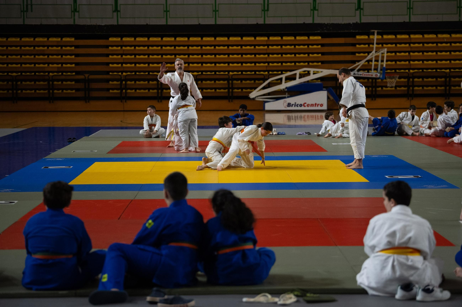 Galería | El judo arranca una edición más de su Copa Diputación