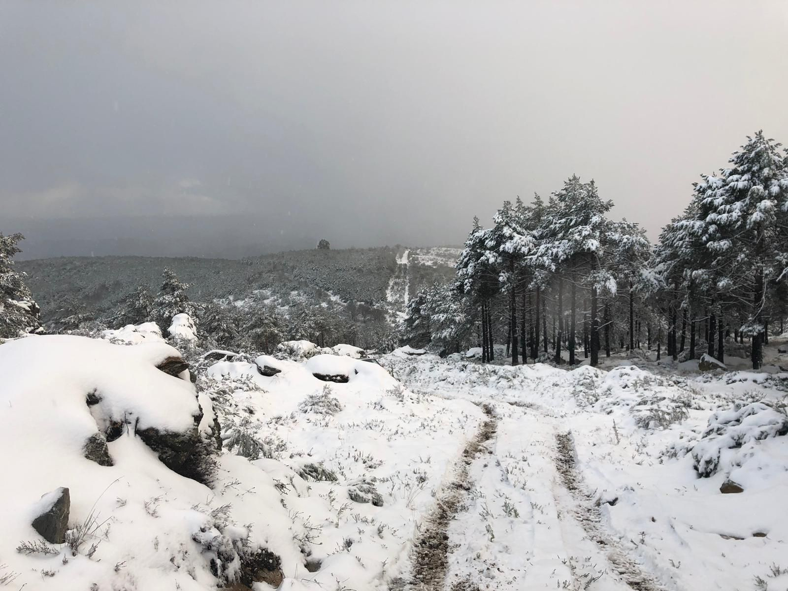 WhatsApp Image 2020-12-29 at 18.35.27 (1)