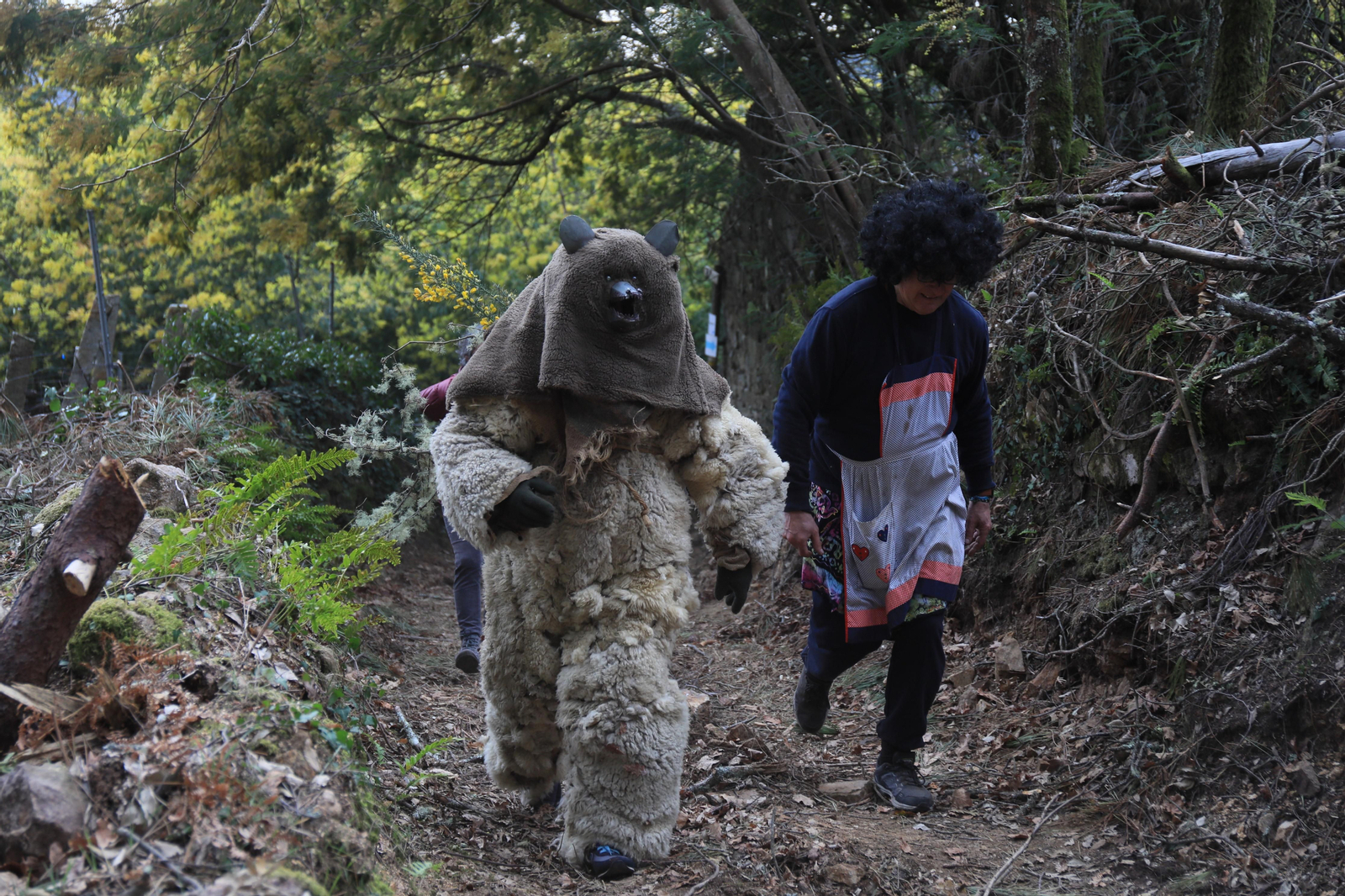 Caza del oso en Sande, Cartelle. José Paz