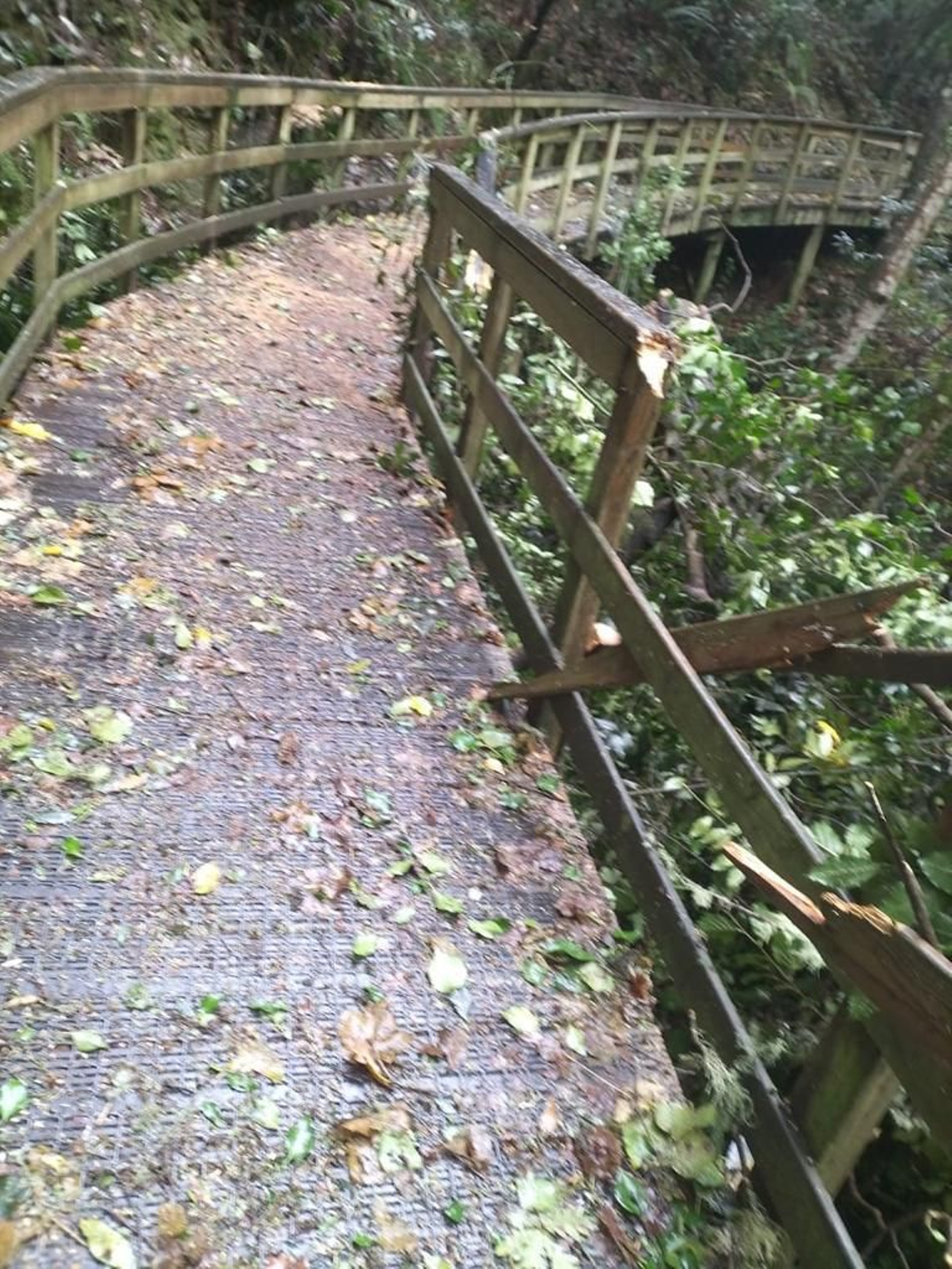 Destrozos de Domingos