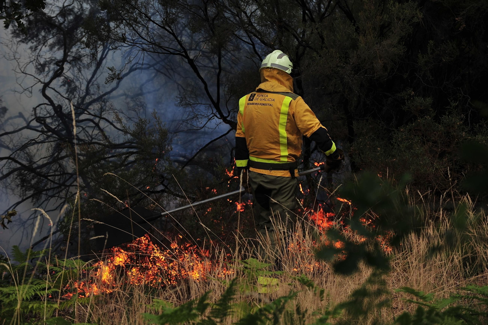 Galería | Despliegue de medios para extinguir un incendio en Rante
