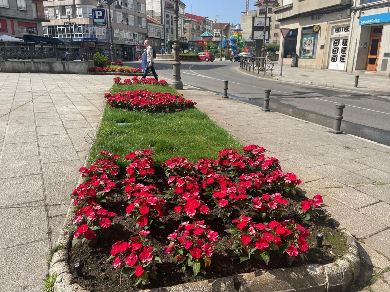 Plantas en las jardineras de la Praza do Emigrante.
