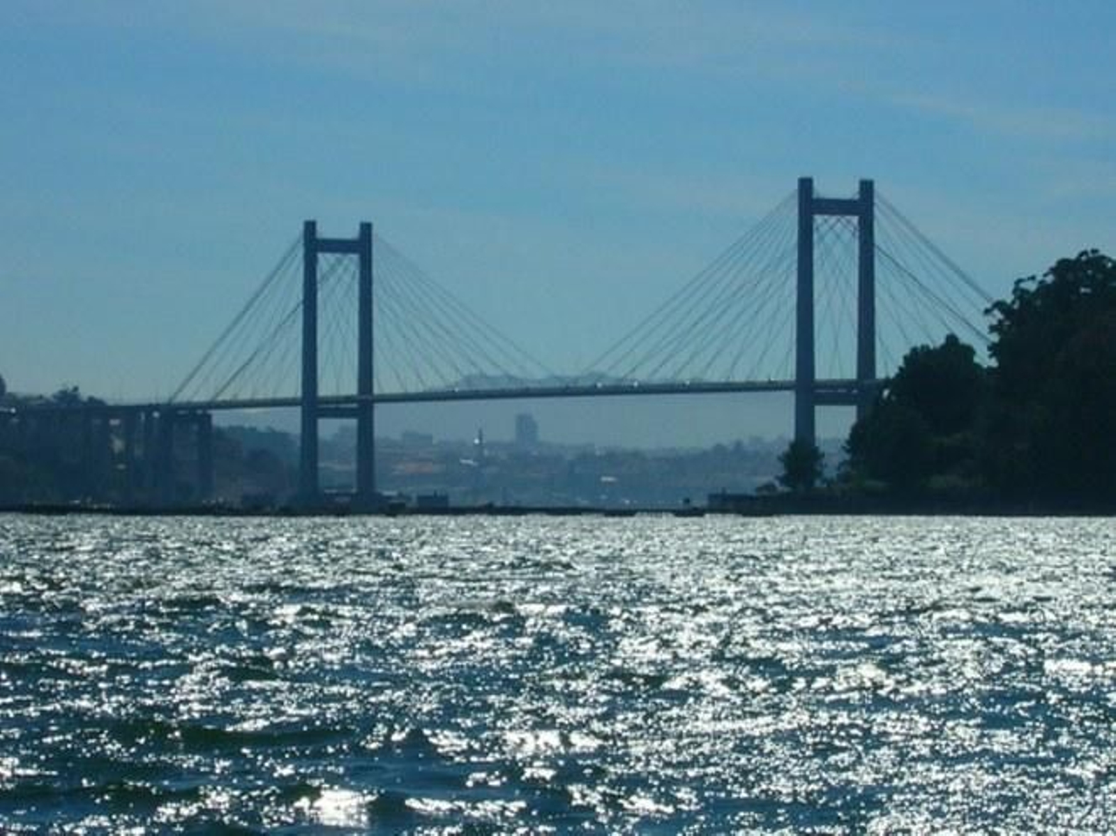 PATRICIA RIVERA DOMÍNGUEZ