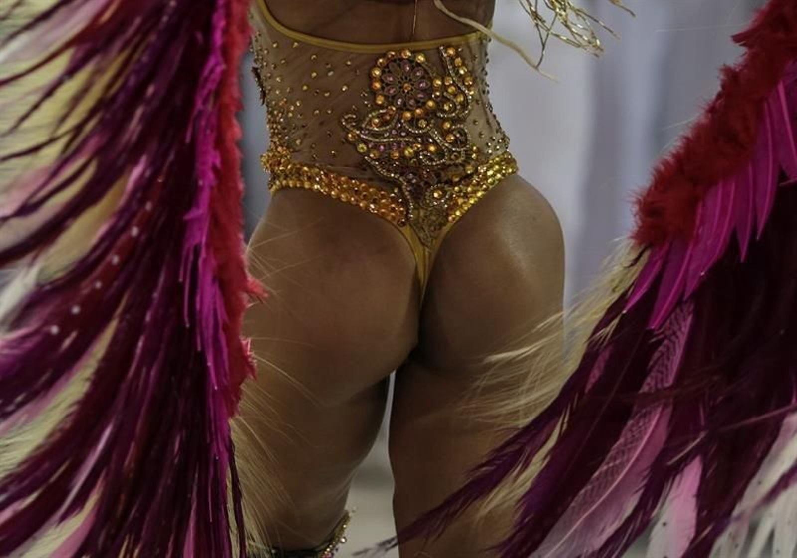 Celebración del carnaval en Río de Janeiro 05