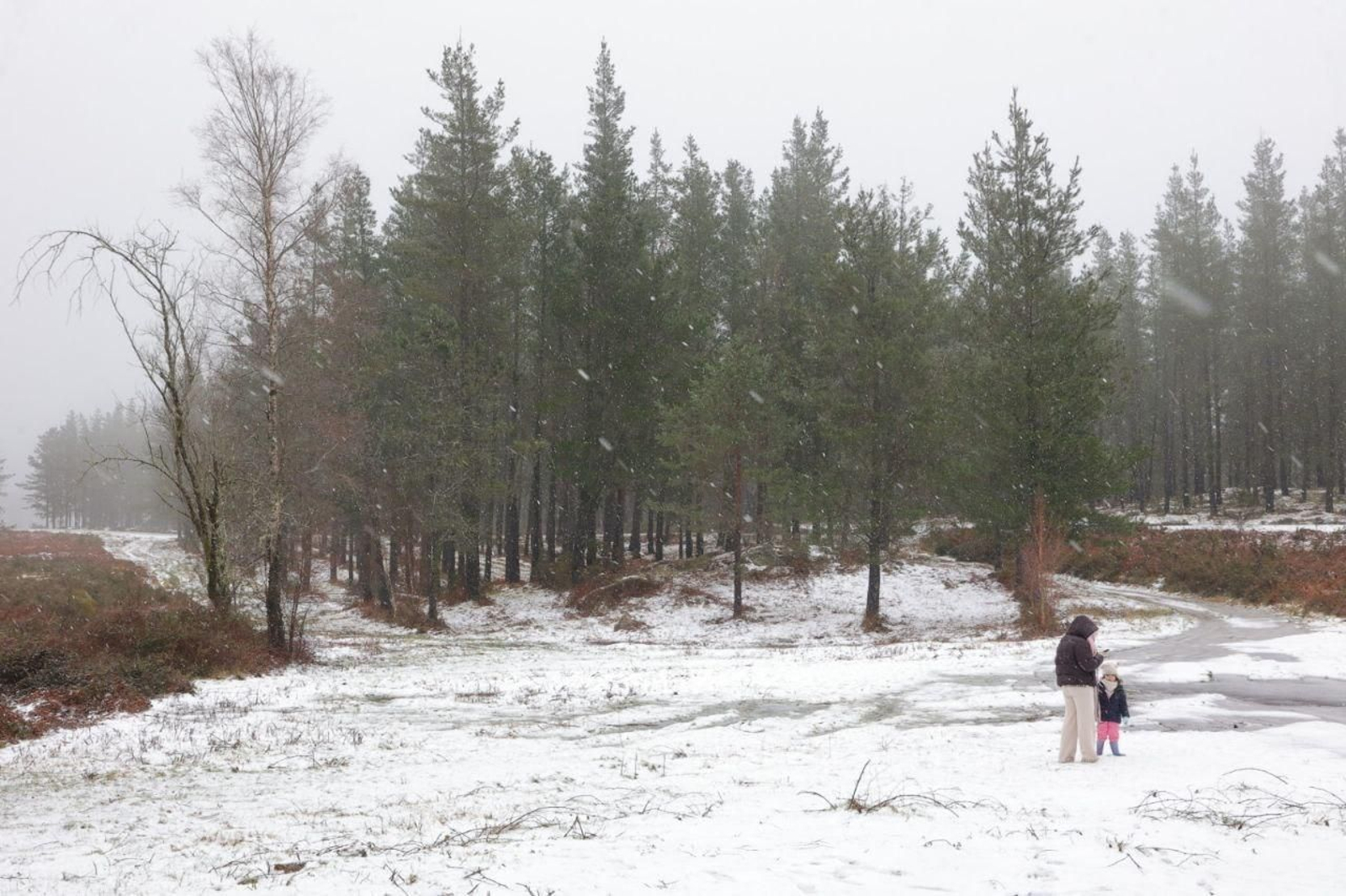 Galería | Los estragos de la borrasca Ingrid en Vigo y su área