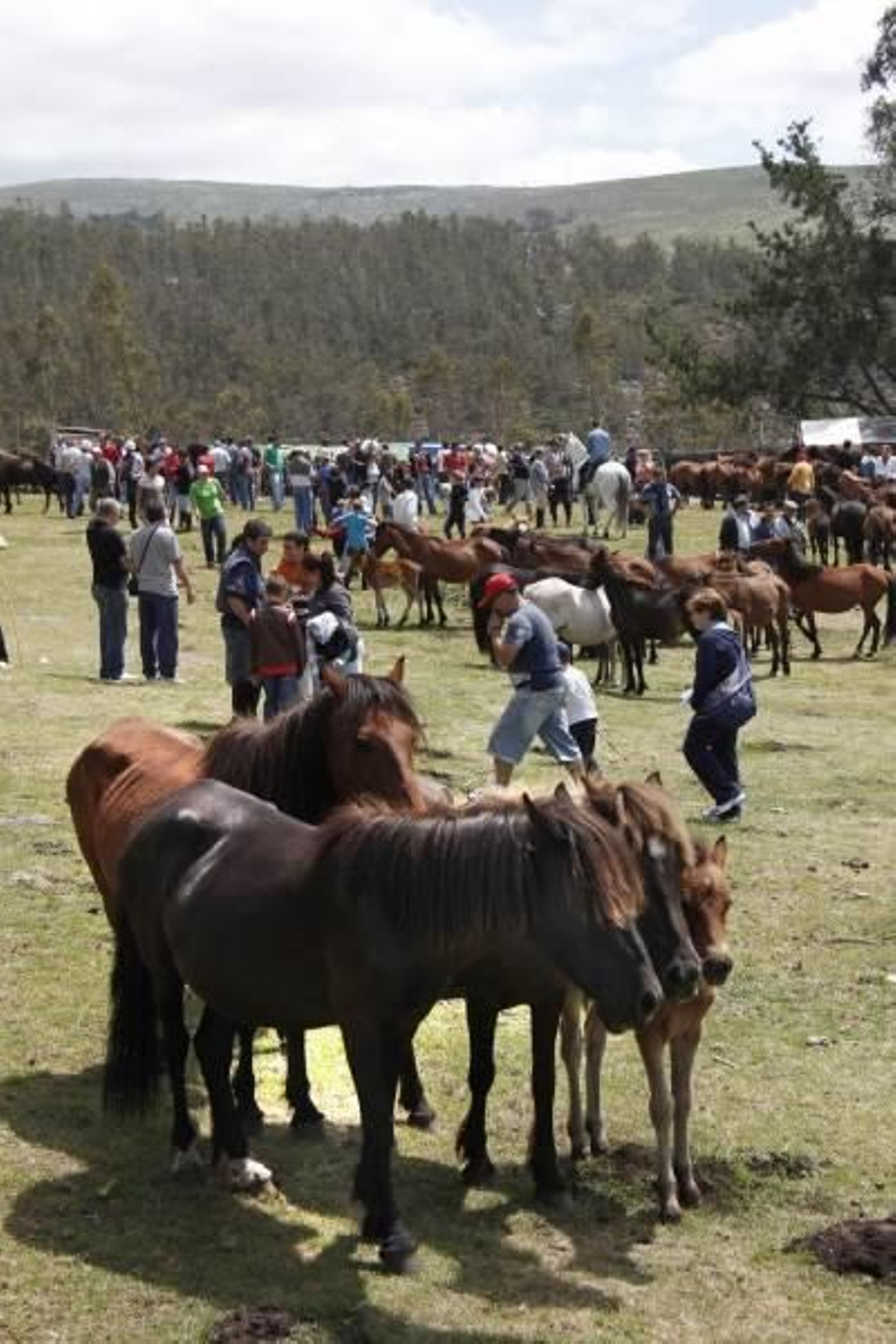 Miles de personas se dieron cita ayer en la parroquia de Mougás, en Santa María de Oia