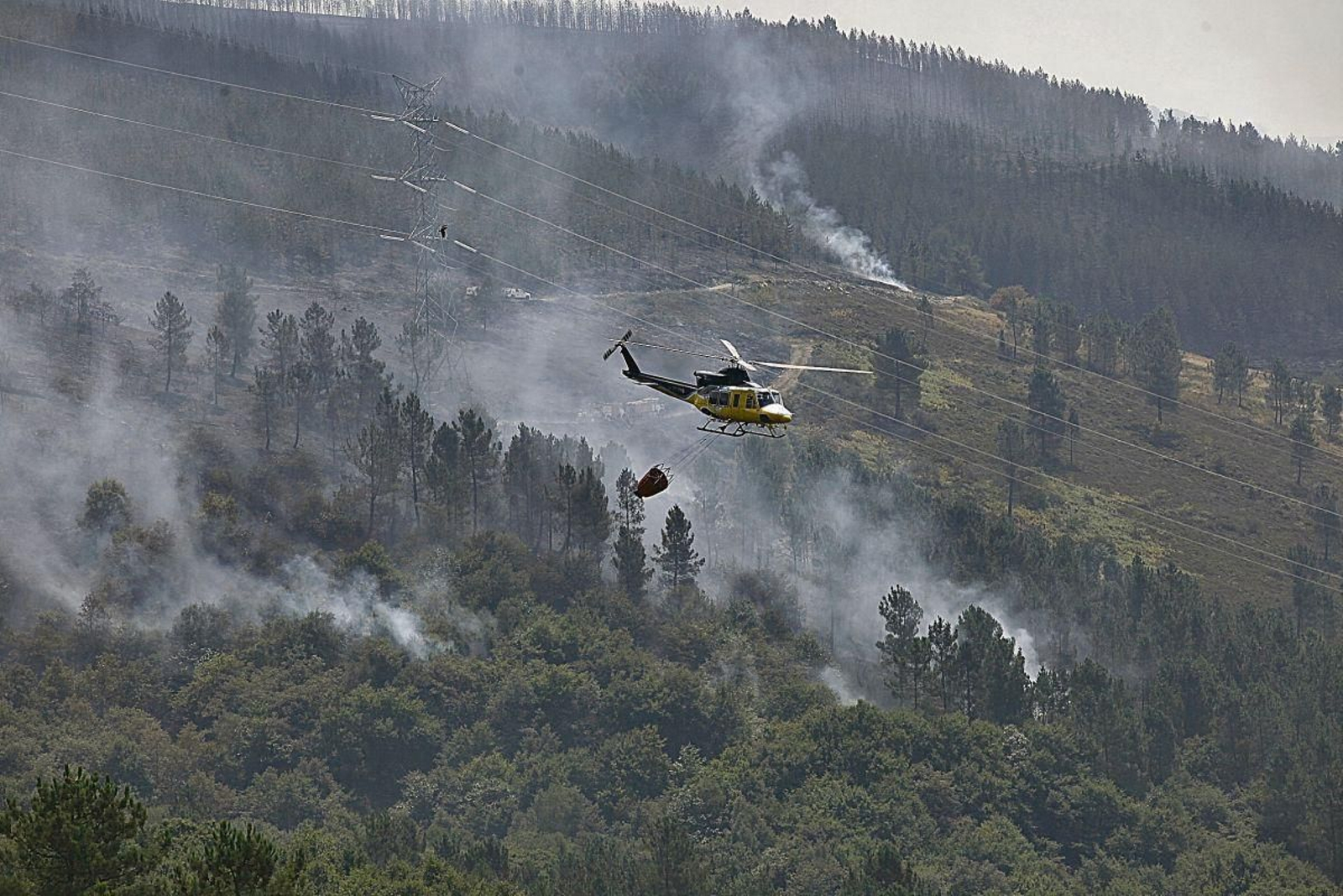 Los medios aéreos fueron decisivos para sofocar la llamas que asolaron el concello de Maceda.