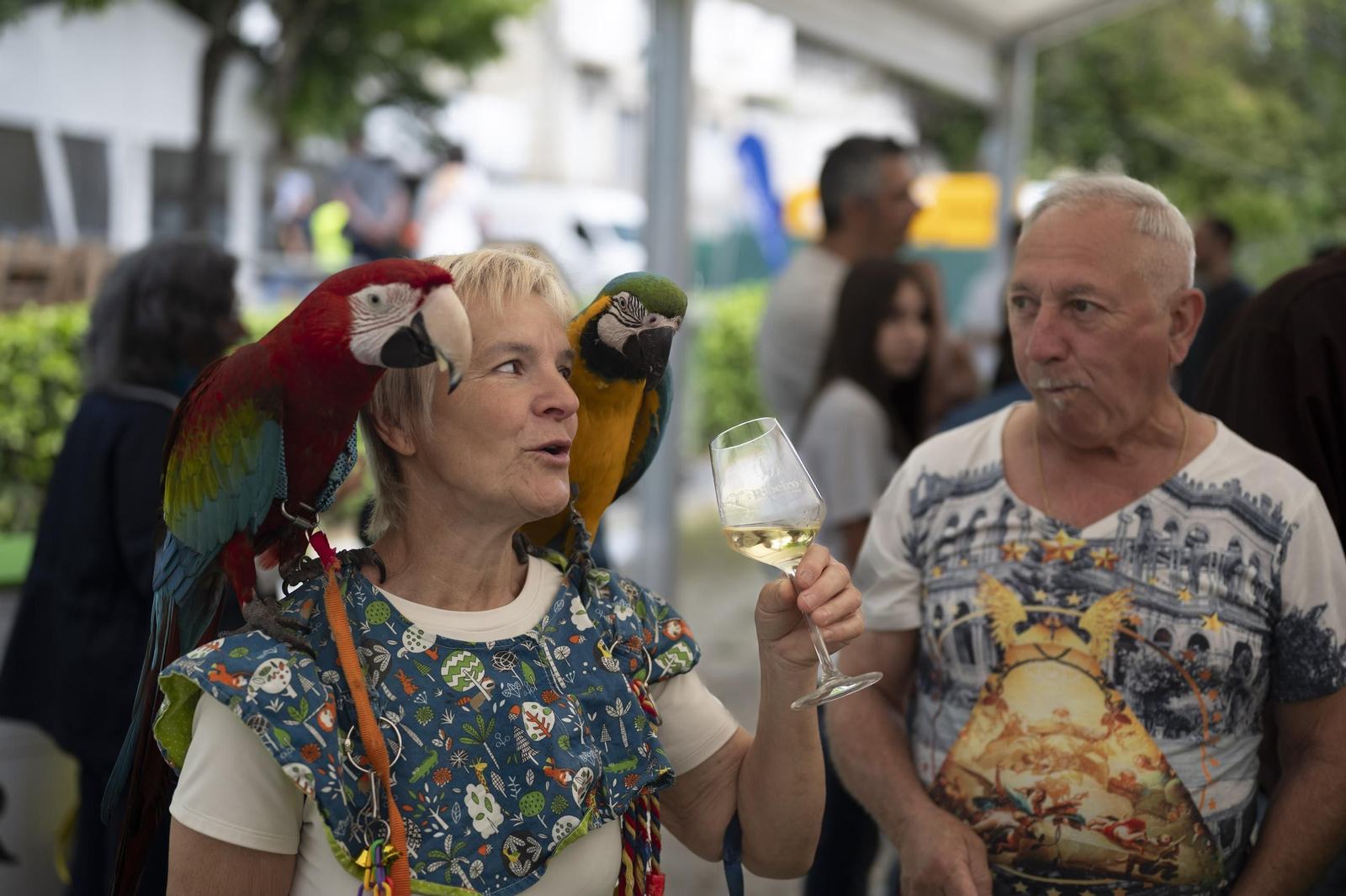 Ambiente festivo, brindis y degustaciones en el recinto de la Alameda de Ribadavia durante la celebración de la 63ª Feira do Viño do Ribeiro