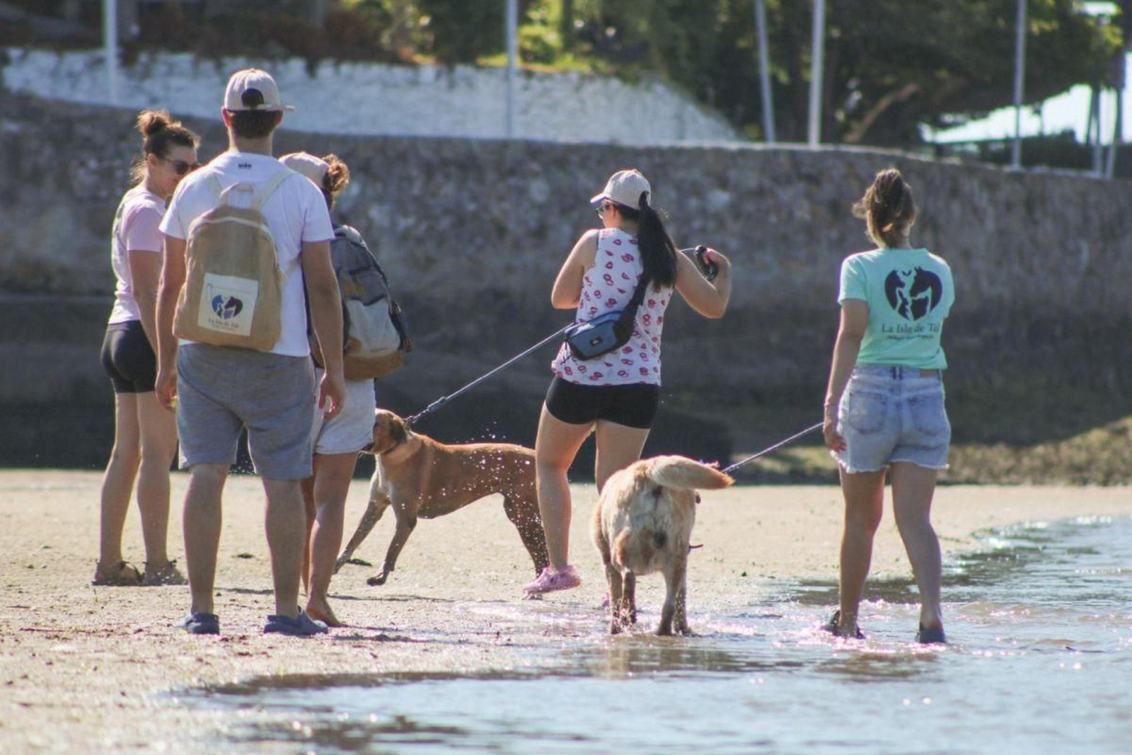 Todos los animales tienen cabida en el refugio.