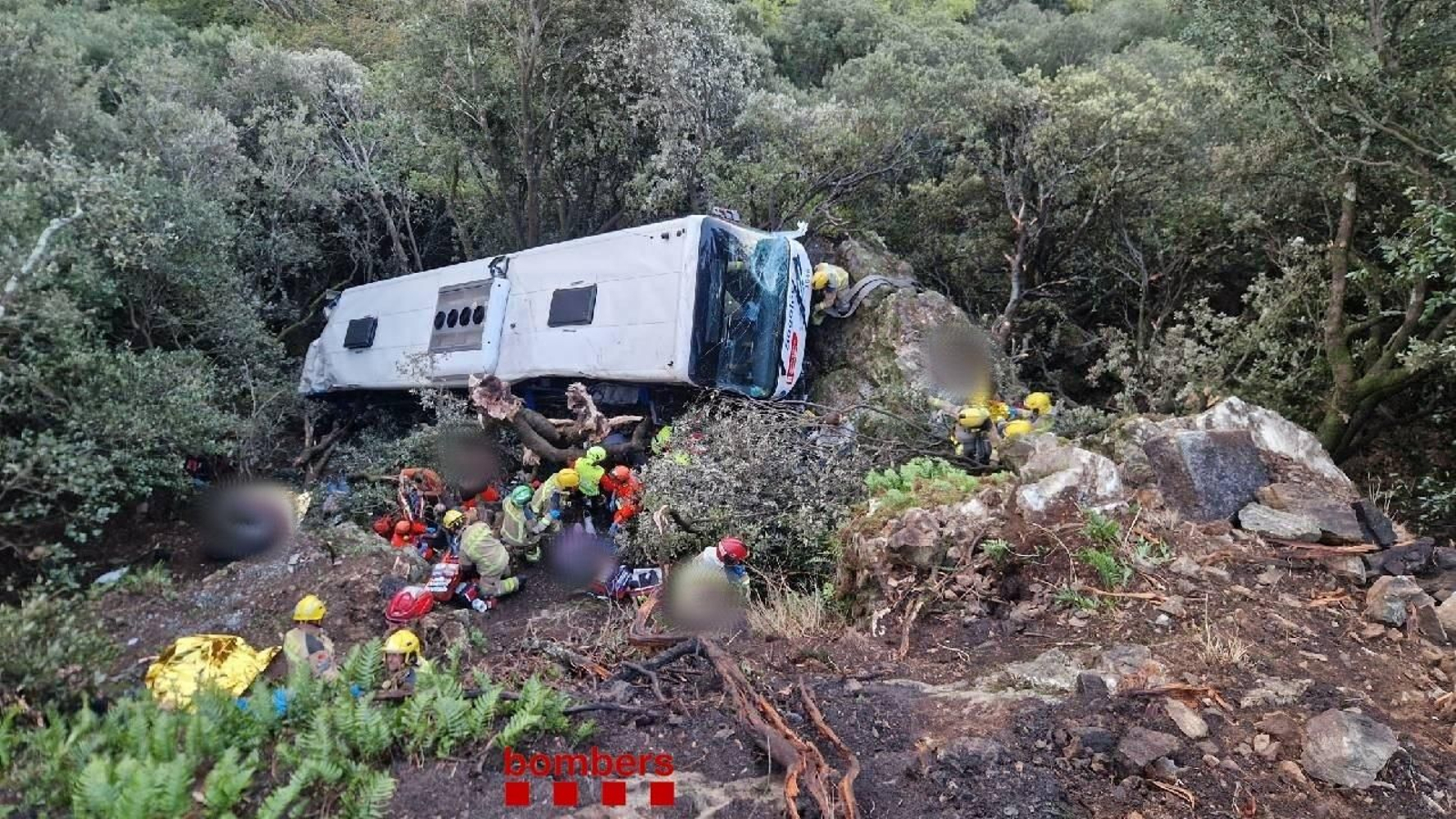Imagen del autobús accidentado.