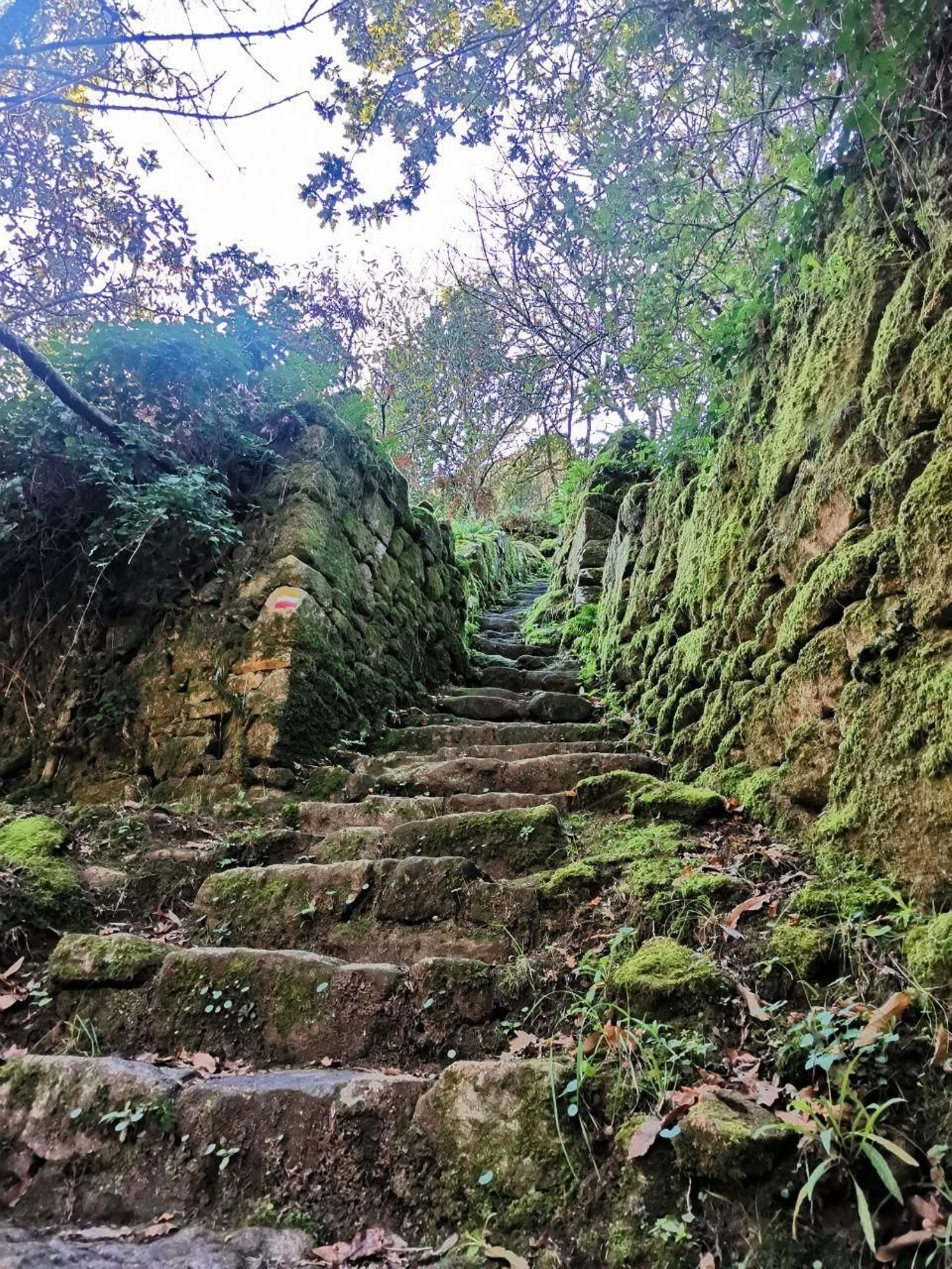 Las escaleras para bajar al río Vez y acercarse a las pasarelas.