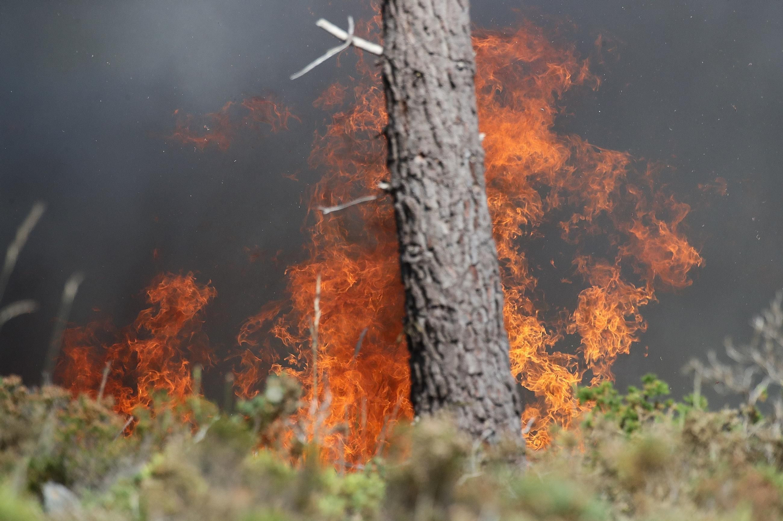 Galería | El primer gran incendio de la provincia en 2026 cerca Boborás