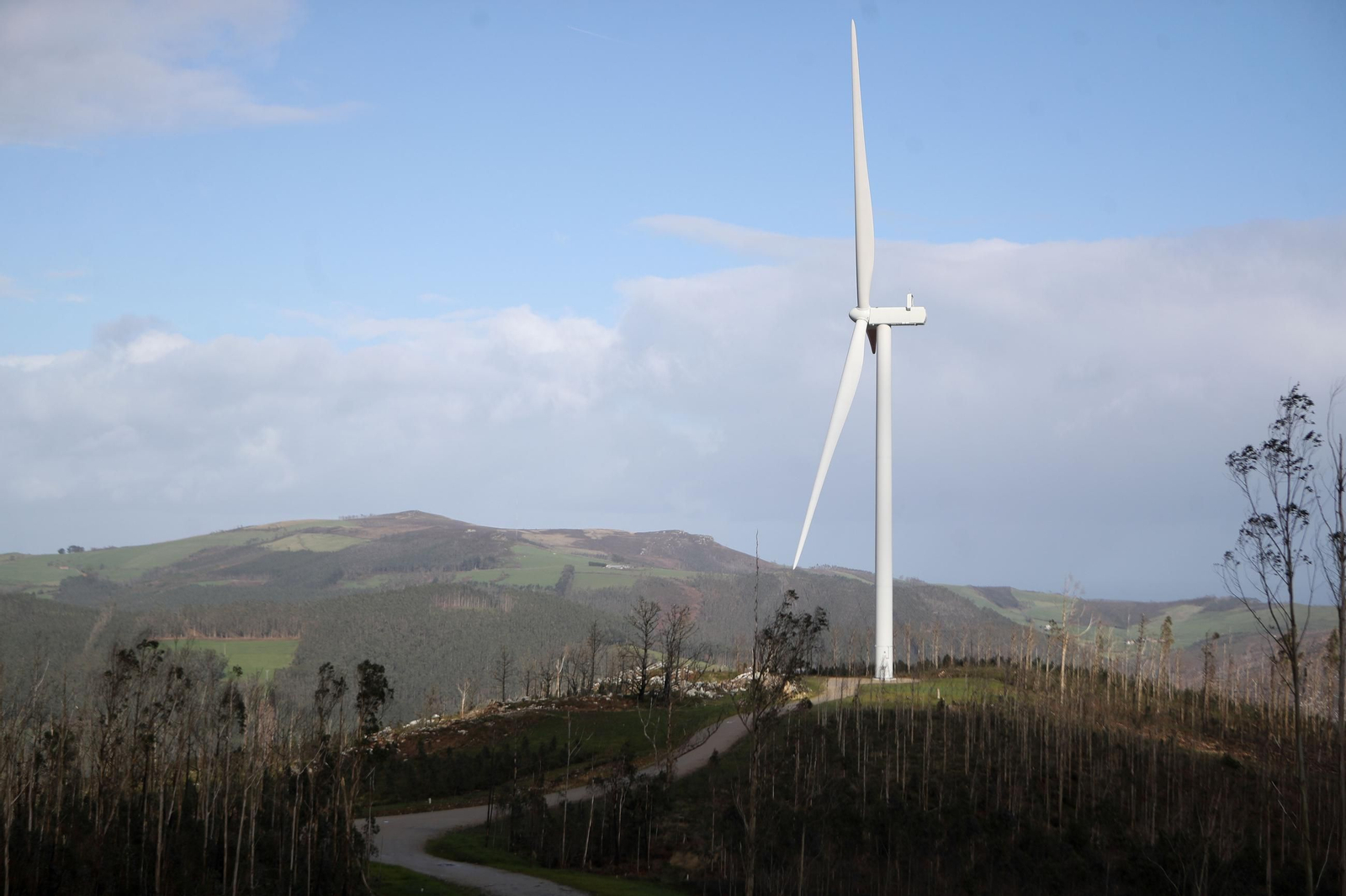 Los aerogeneradores ocuparán una superficie de 1.000 hectáreas repartida entre los municipios de Cartelle, A Arnoia, Castrelo de Miño y Gomesende.