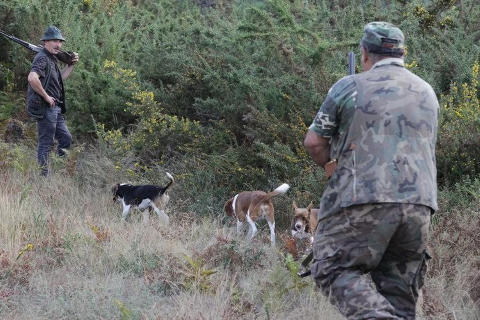 Arranque de la temporada de caza, el pasado mes de octubre, en Madarnás, O Irixo.