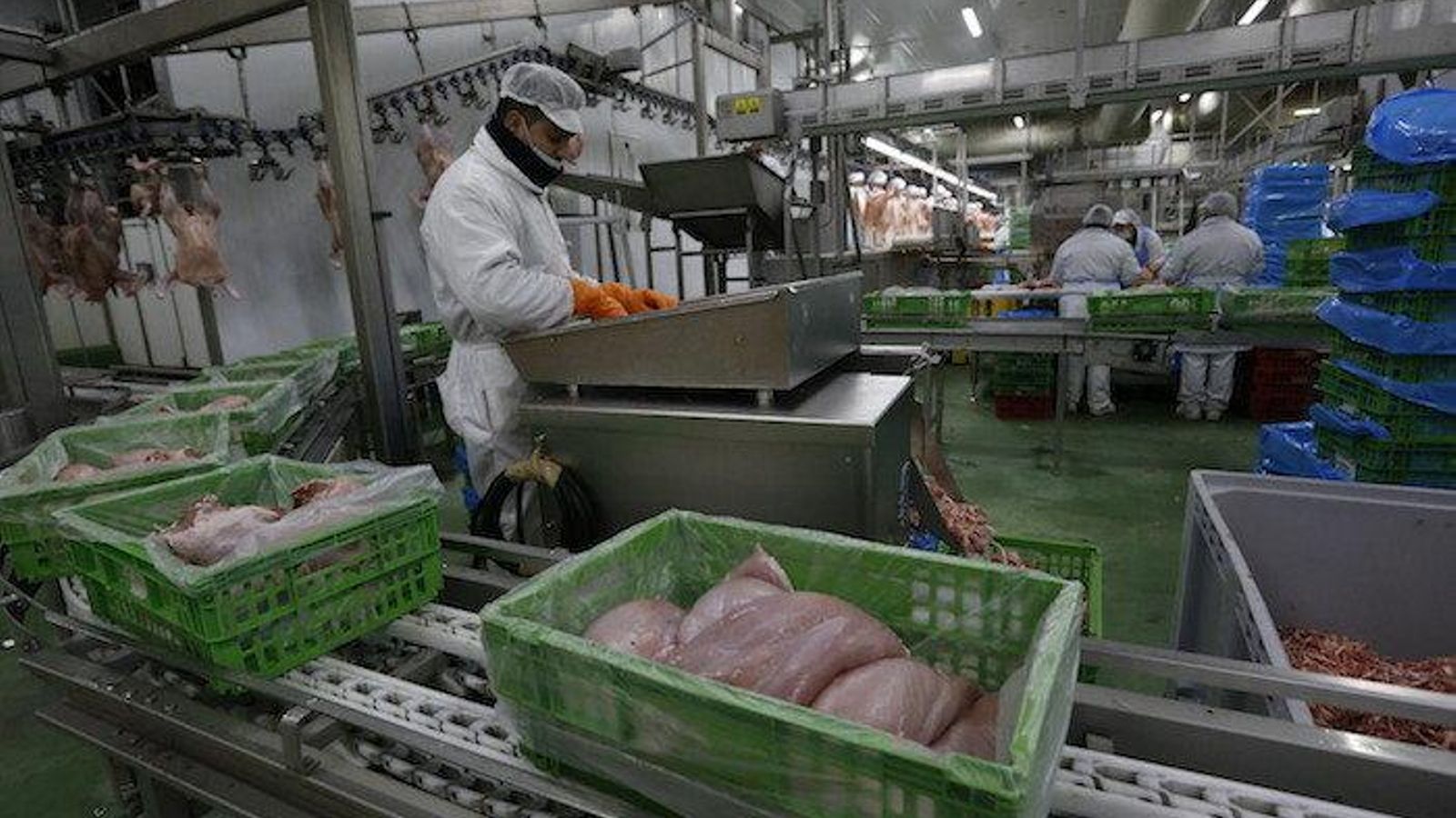 Sta Cruz de Arrabaldo. 25-02-14. Local. Visita do alcalde de Ourense e Áurea Soto ás instalacións de Coren.Foto: Xesús Fariñas