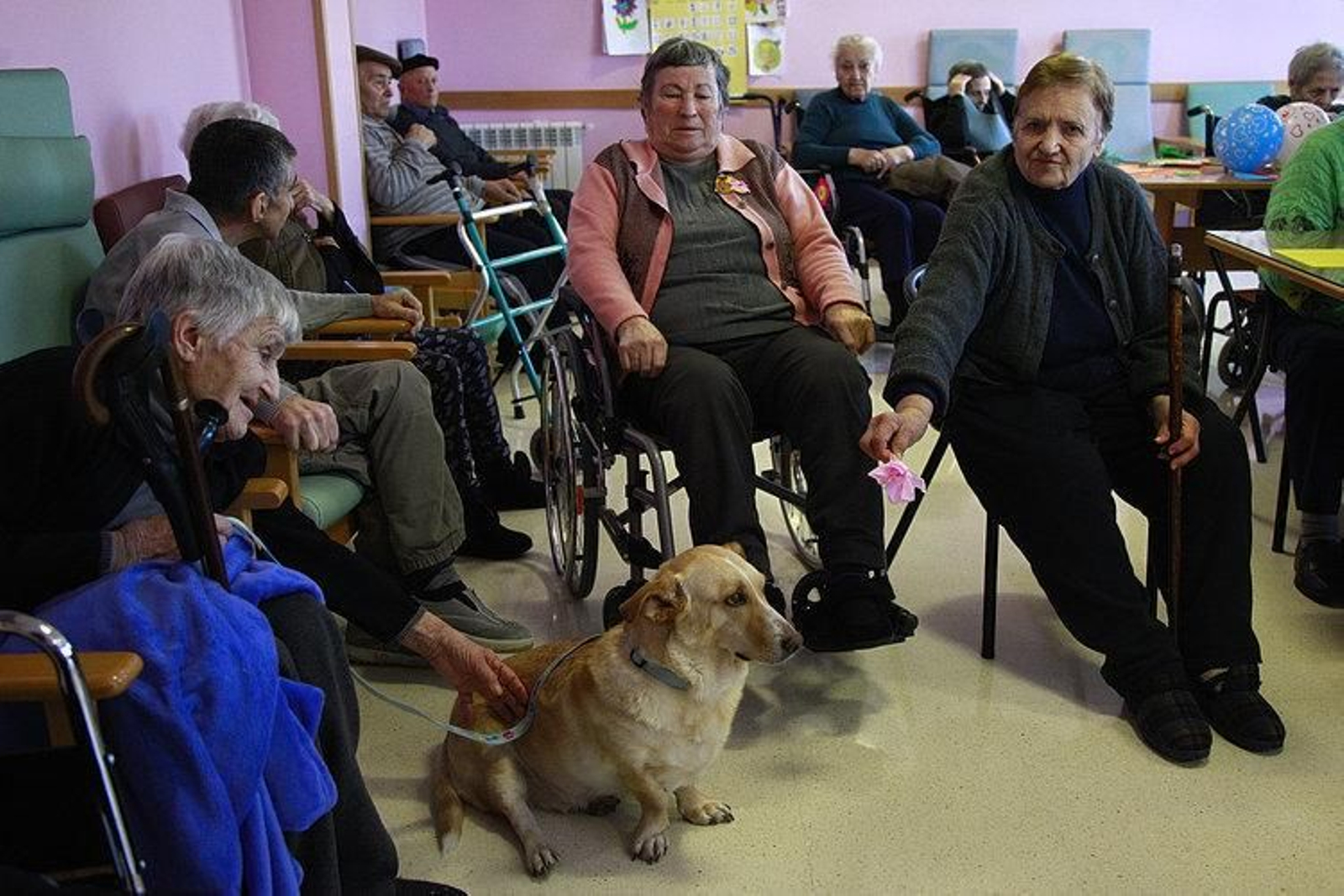 Los usuarios de la Residencia San Martiño comparten su tiempo libre con el perro.