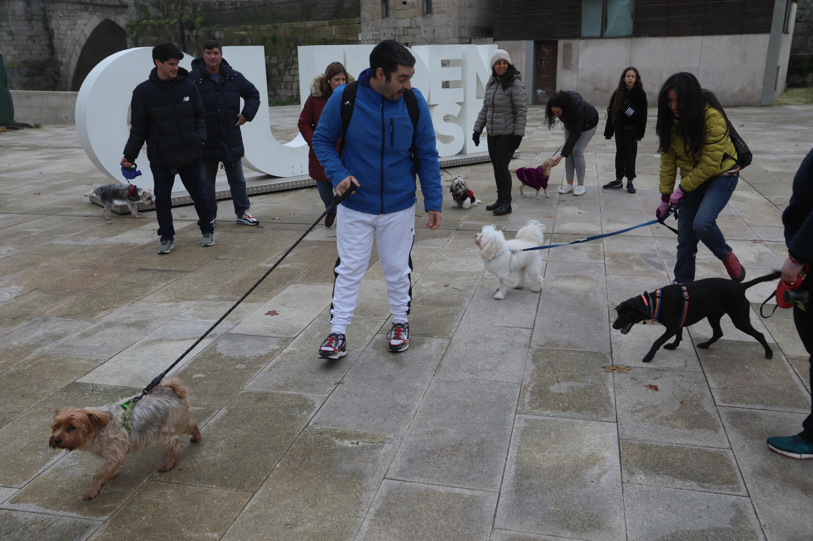 Andaina perruna por la ciudad. José Paz