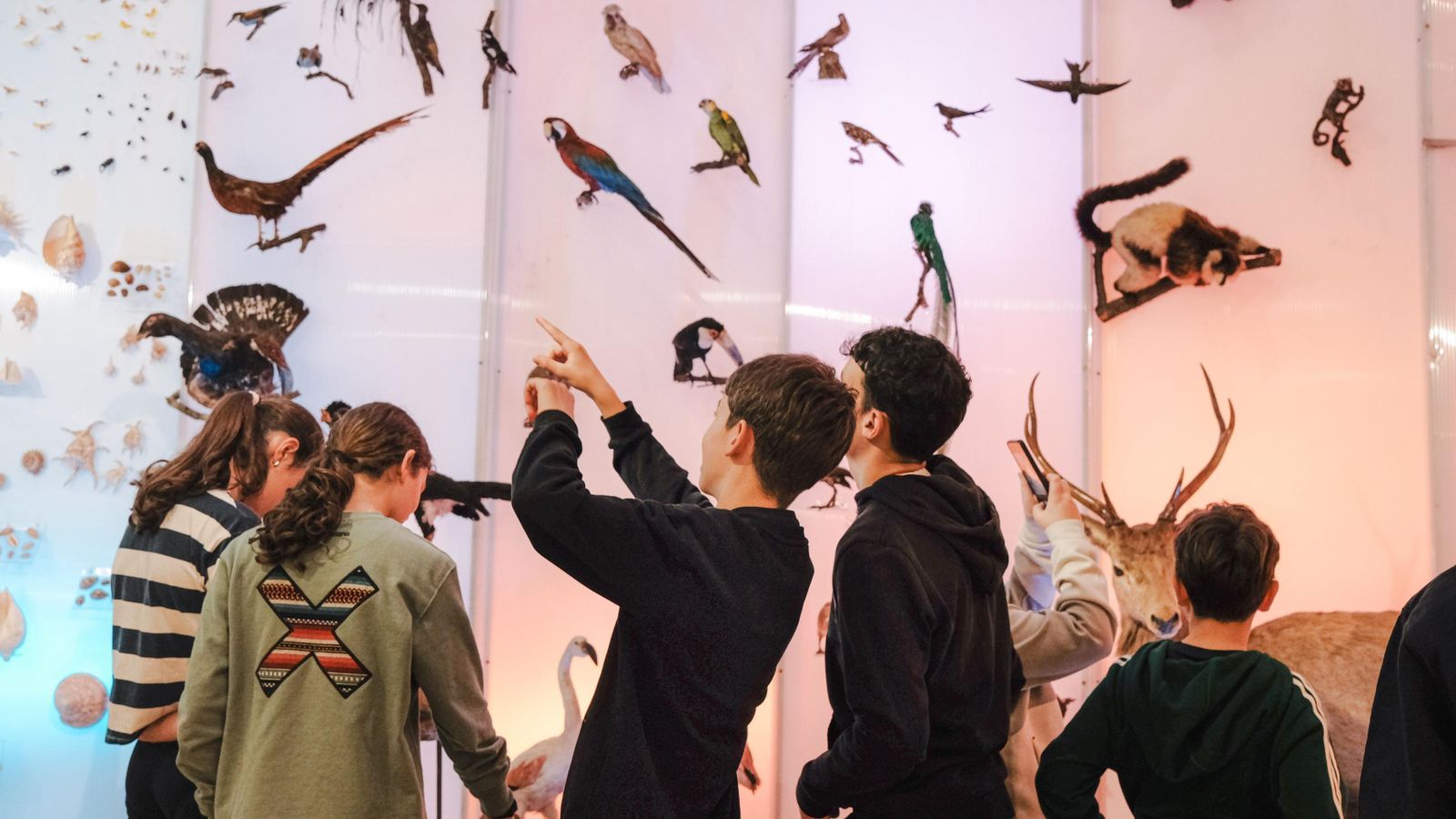 Visita do IES Xermán Ancochea a Santiago de Compostela