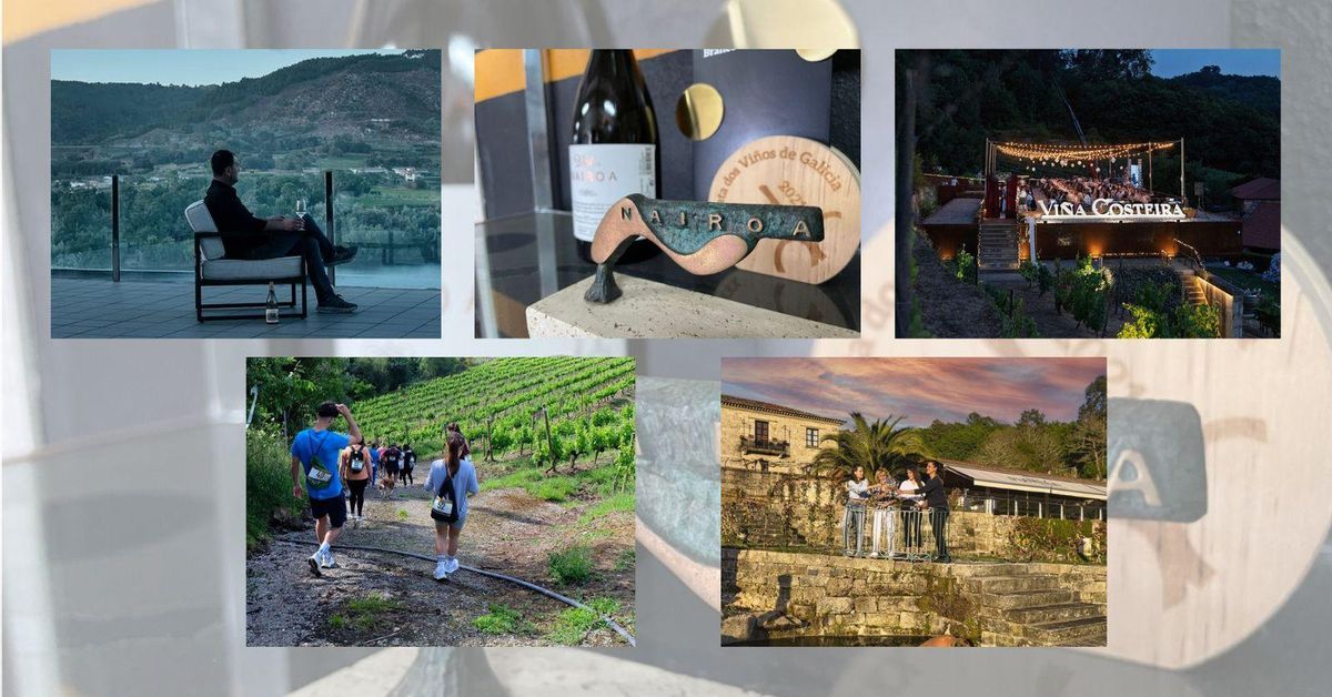 Las mejores bodegas para hacer enoturismo en Ourense este verano