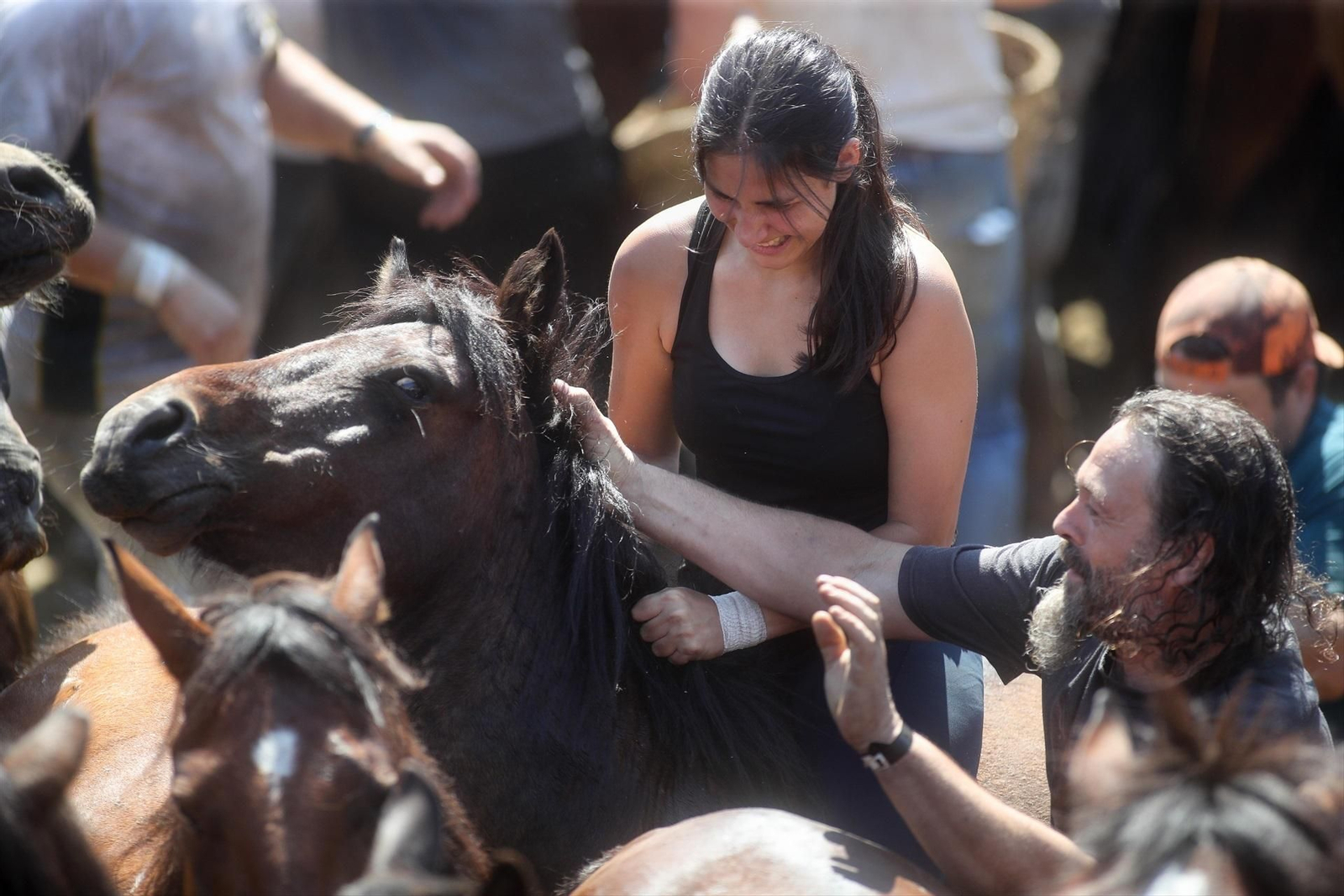 Una Rapa das Bestas de Sabucedo llena de fuerza, tradición y emoción, en fotos