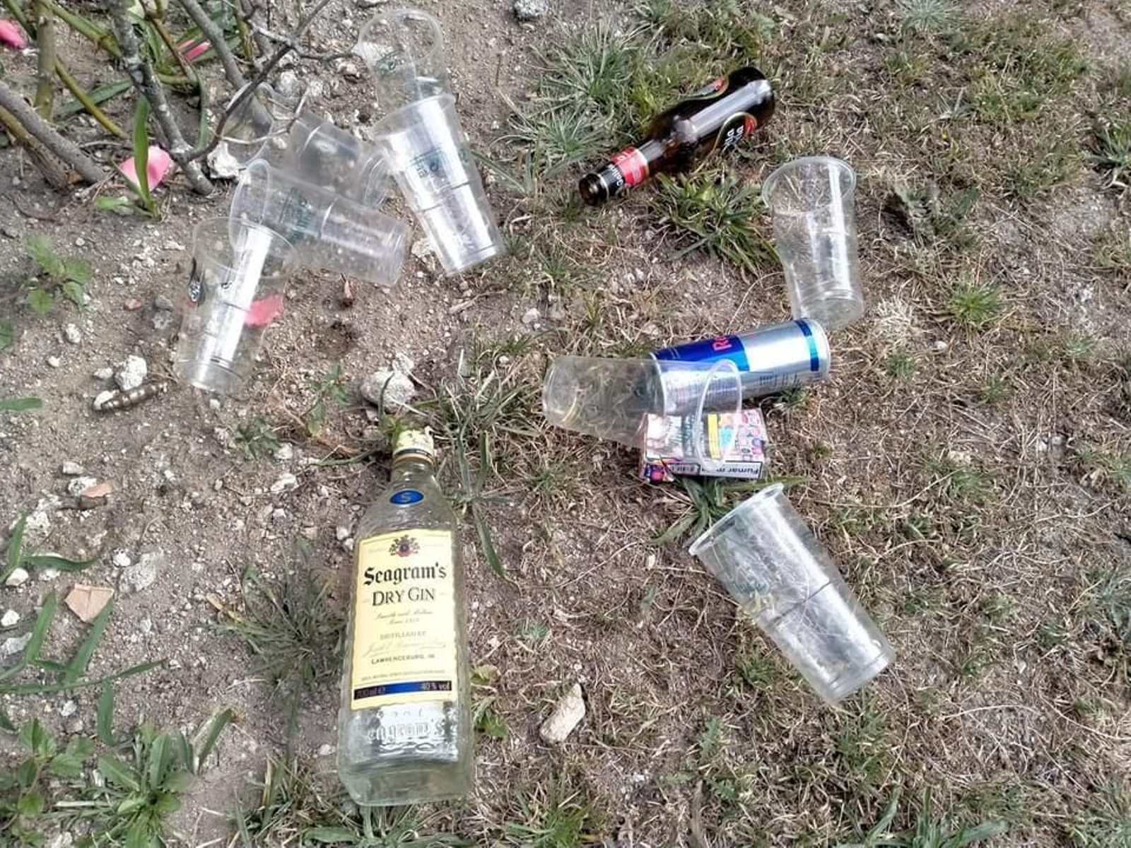 Residuos encontrados de mañana en un solar próximo a la rúa Curros Enríquez, en Xinzo de Limia.