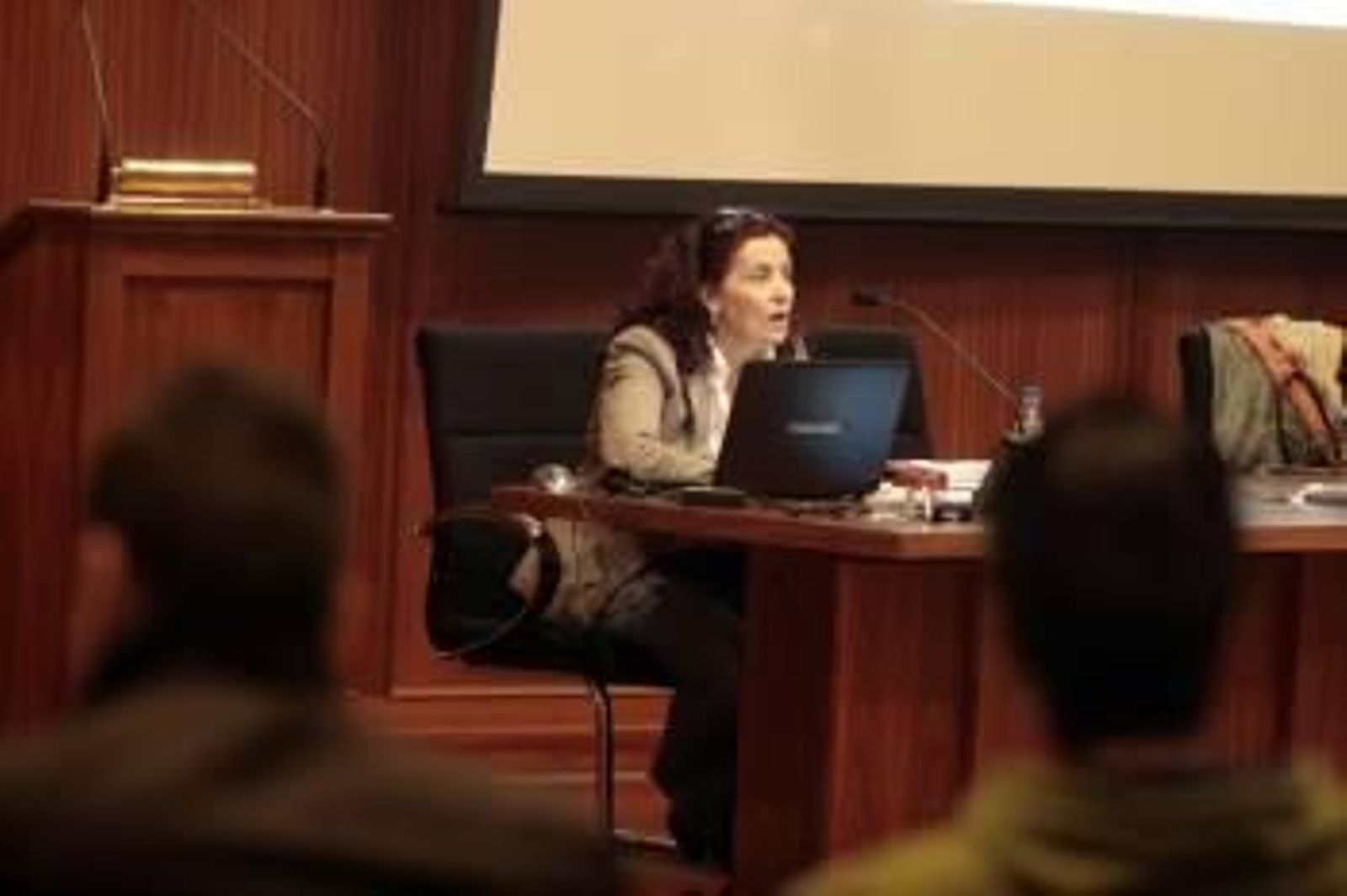 Arriba, Emilia Seoane, durante su ponencia en Minas. Abajo, los preparativos en Minas. (Foto: FELIPE CARNOTTO)