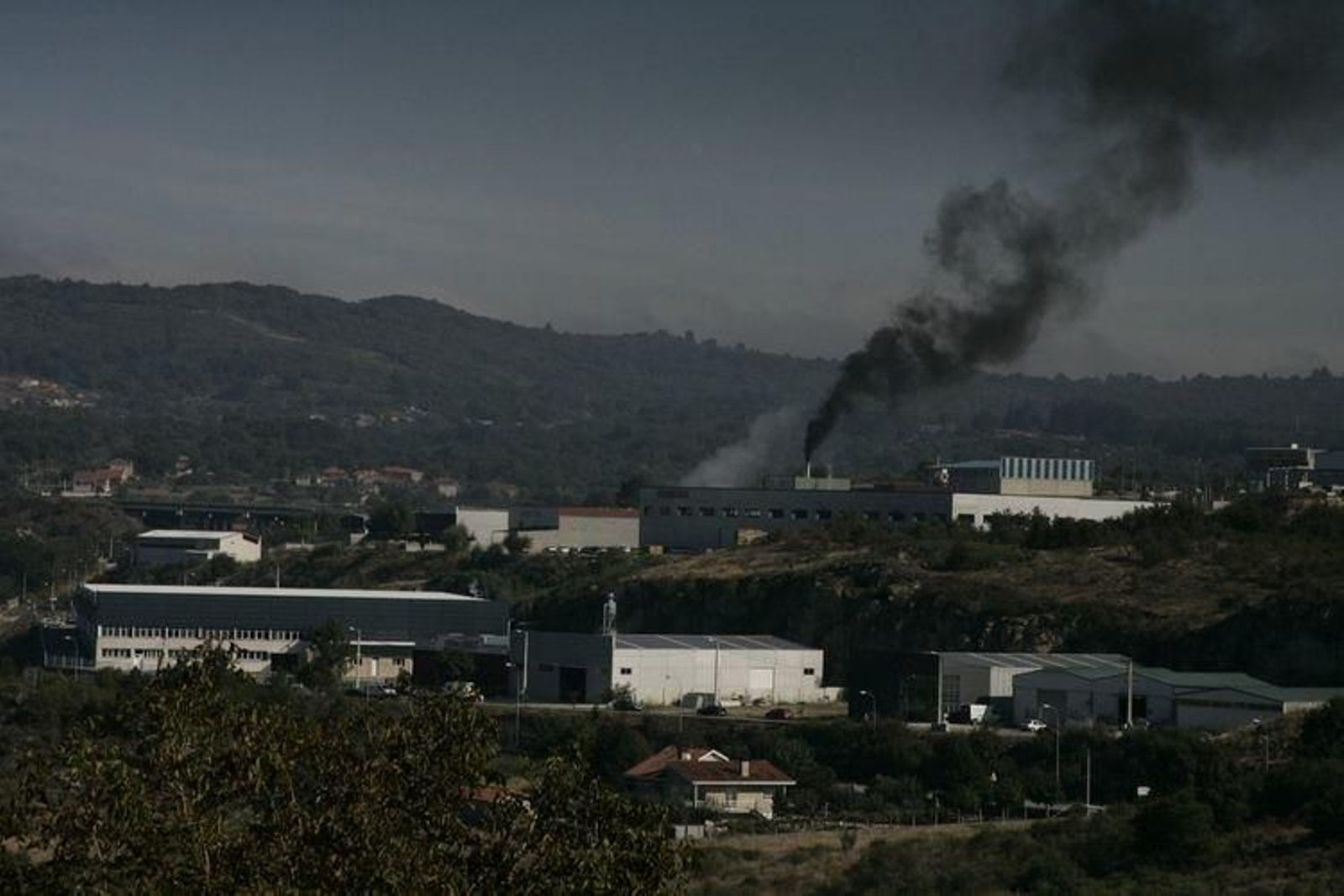 La ley trata de estimular la actividad empresarial a pesar de eventuales fracasos.