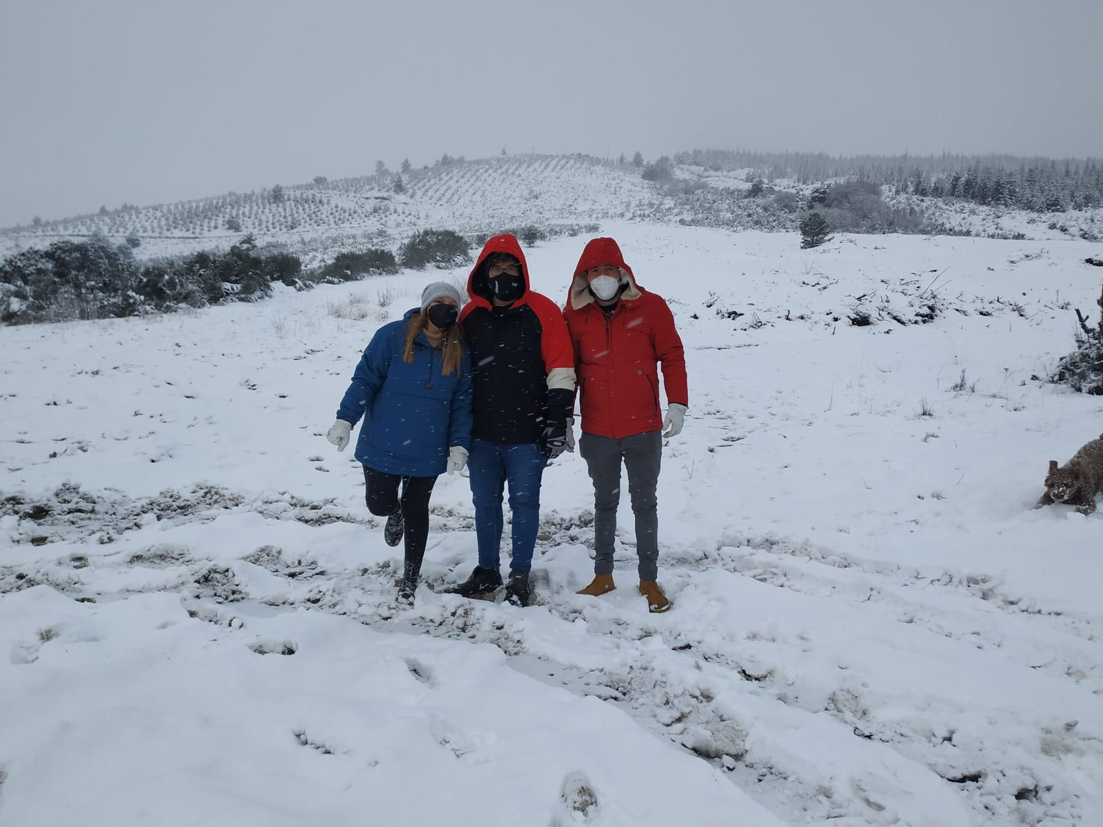 Jornada de nieve en el Alto da Portela.