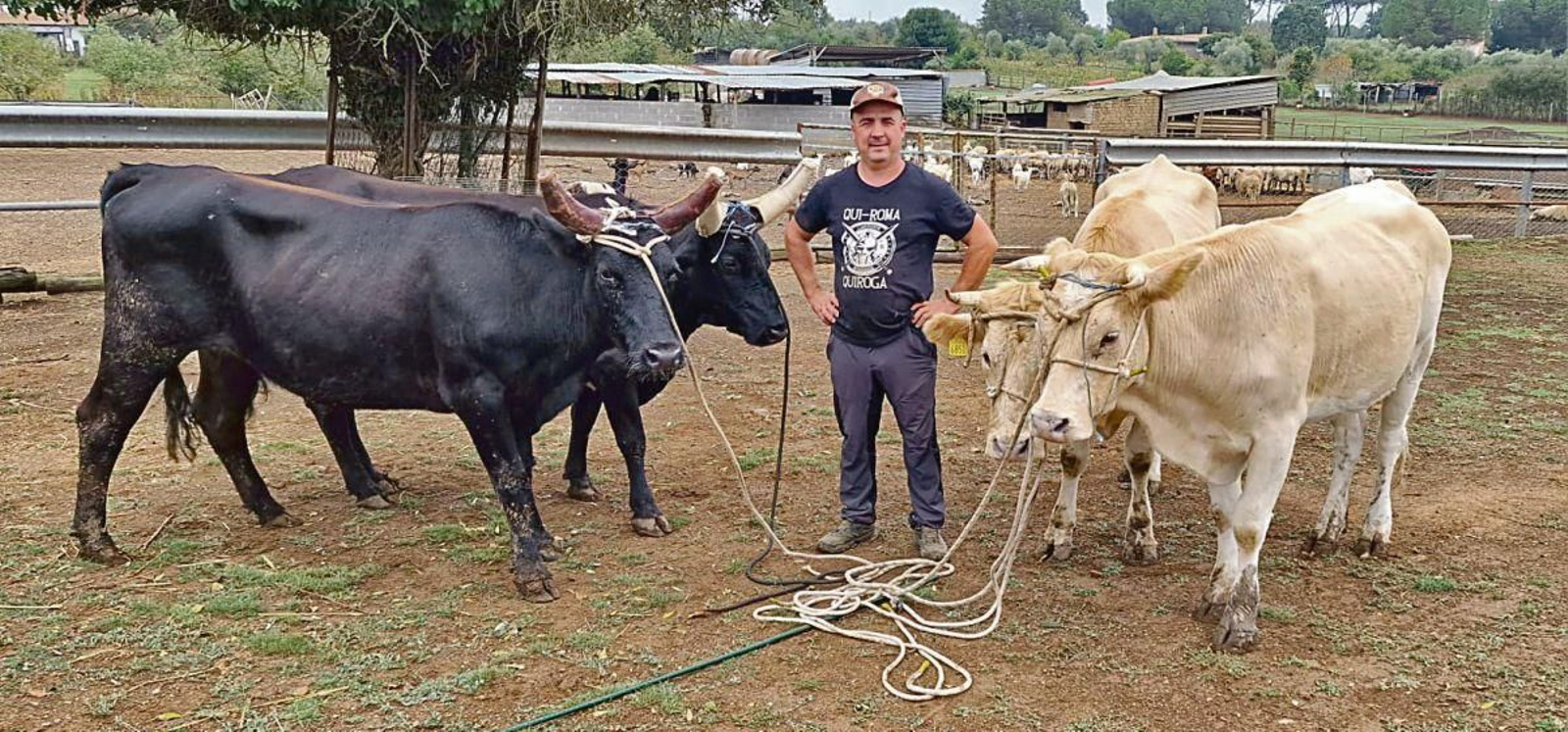 Animales amansados por Mario Nogueira para la película que se ha rodado en Roma, Italia.
