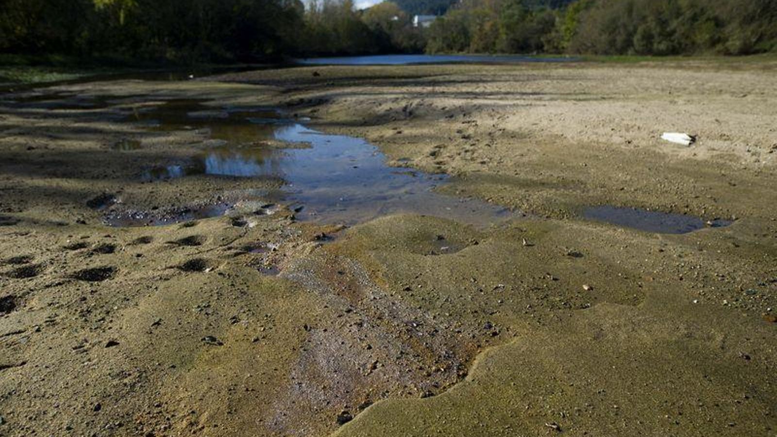 Ourense 9/11/21 Aspecto que presenta el río Miño a la altura de la depuradora de Reza  Fotos Martiño Pinal
