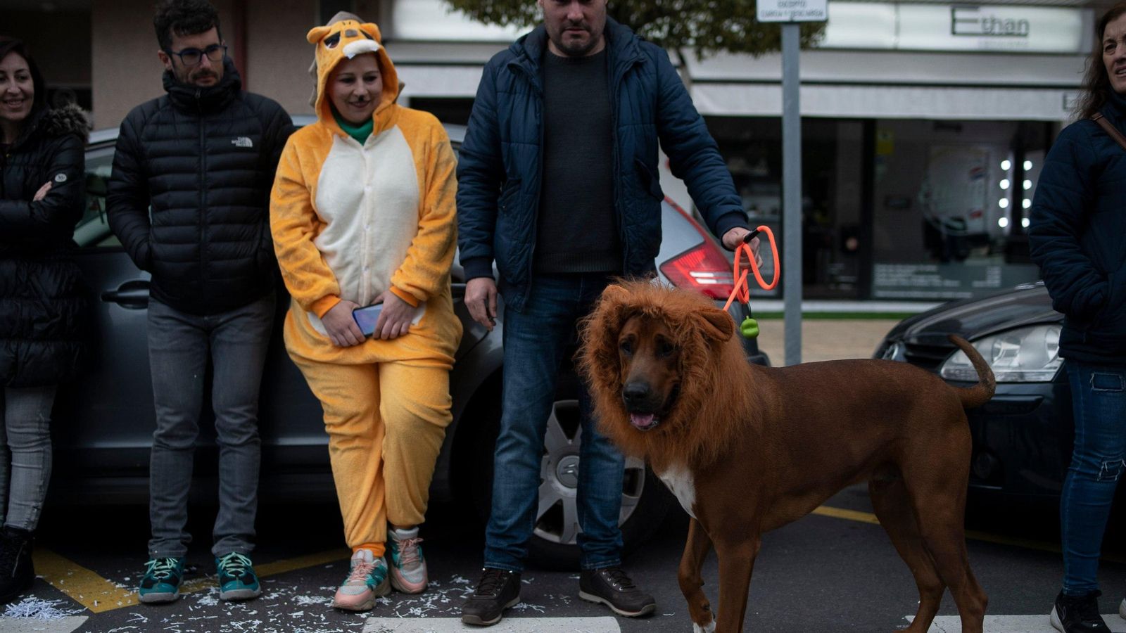 Disfraz de un perro en el Entroido