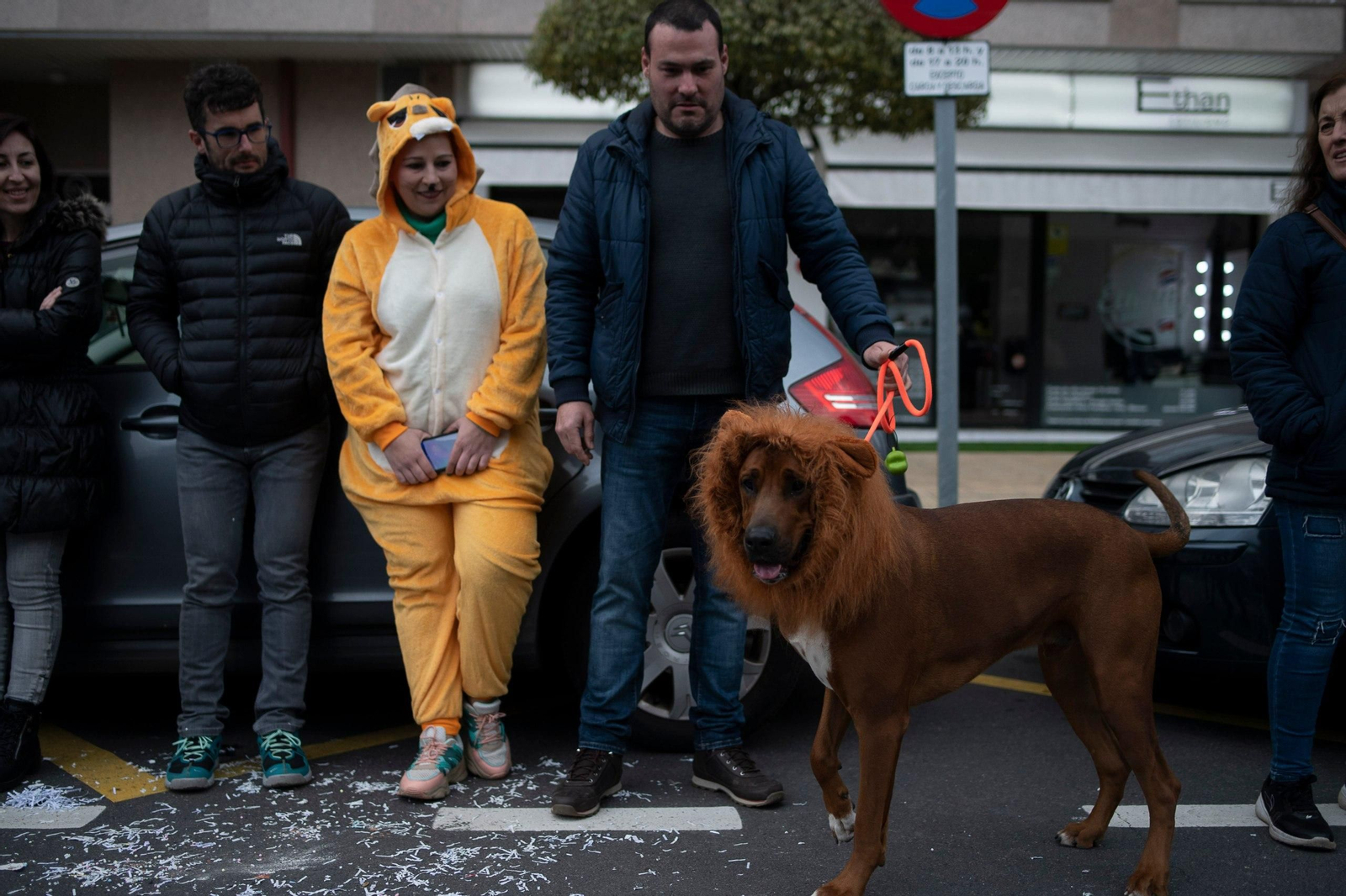Disfraz de un perro en el Entroido