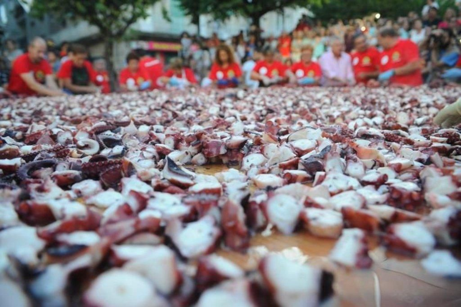 La elaboración de la tapa de pulpo más grande del mundo en Carballino 17