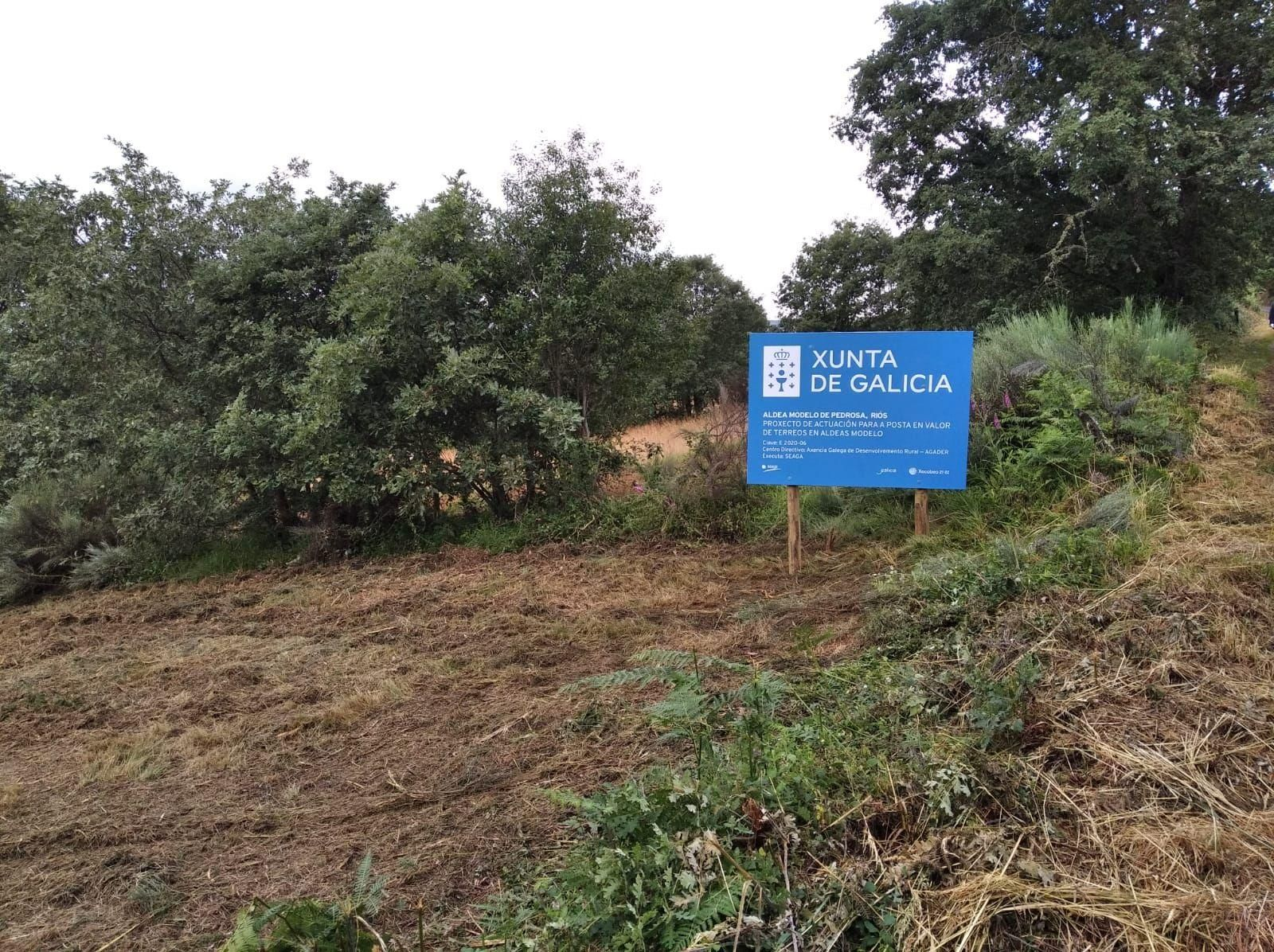 Limpieza del entorno de Pedrosa.